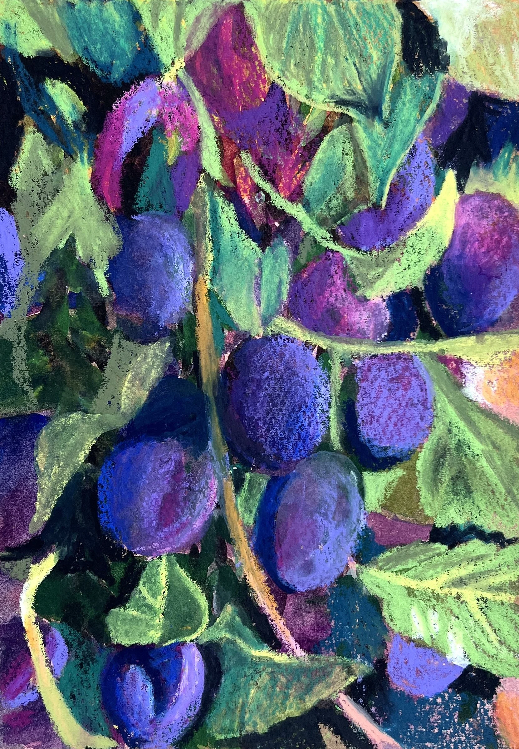 ‘Ripening Plums’ - Giclee Print