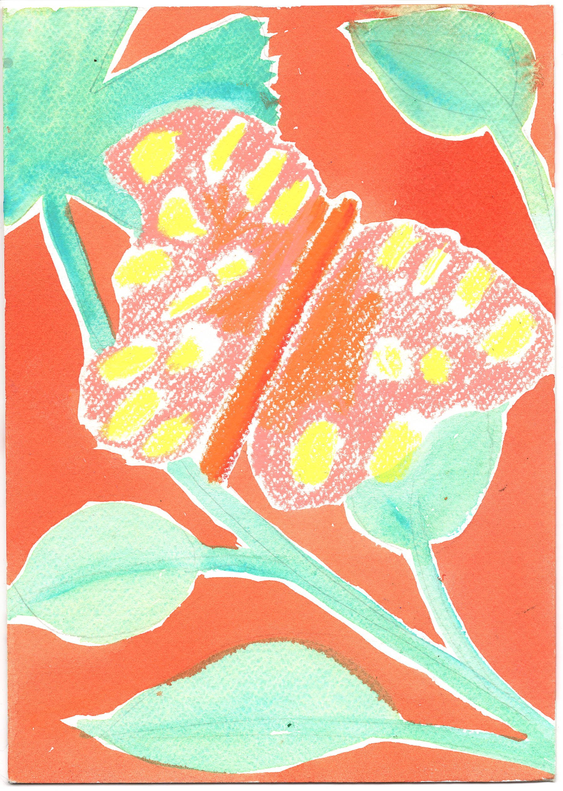 Butterfly house