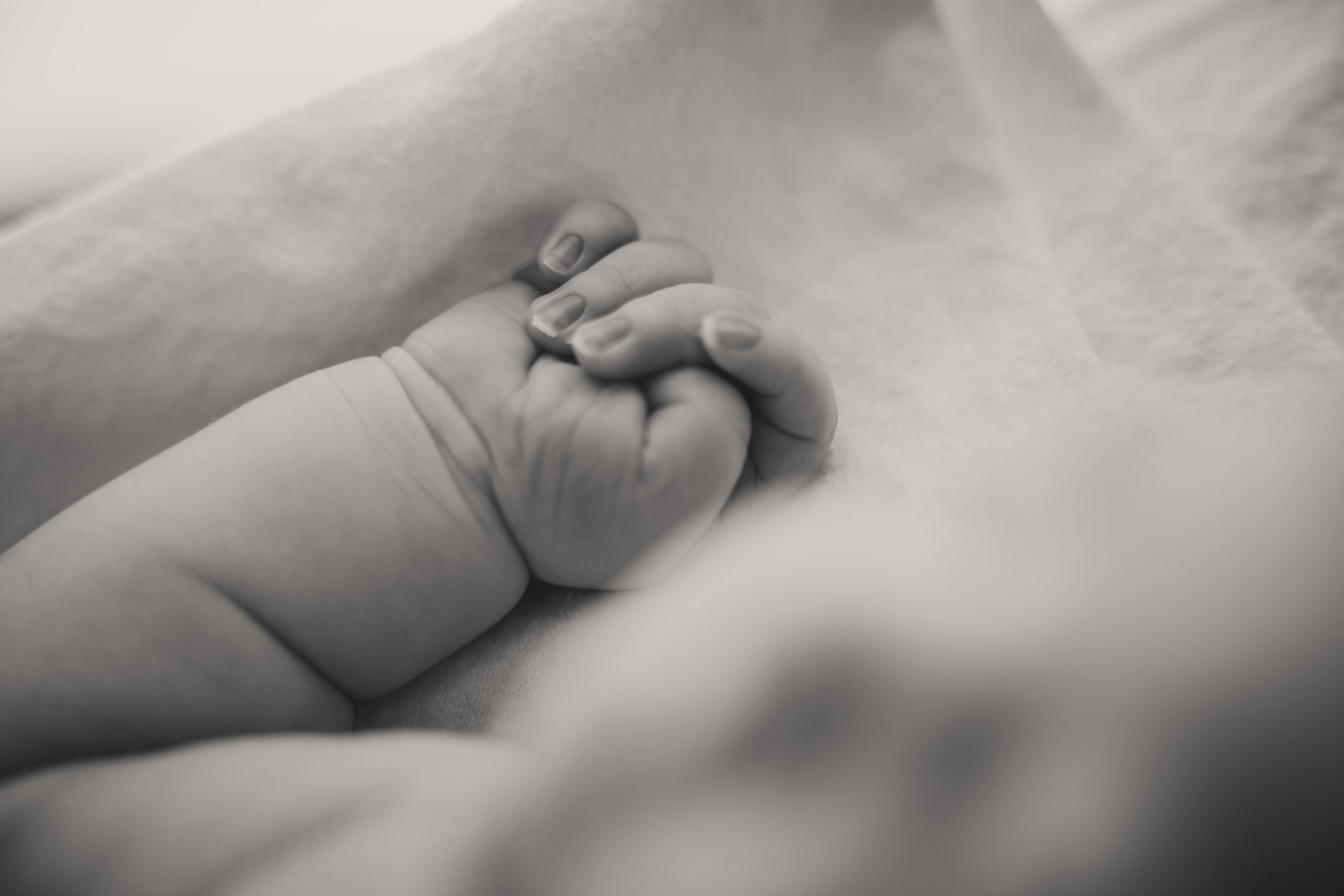 Newborn baby hand at a fresh 48 photography session at Doctor's Hospital of Augusta, GA.