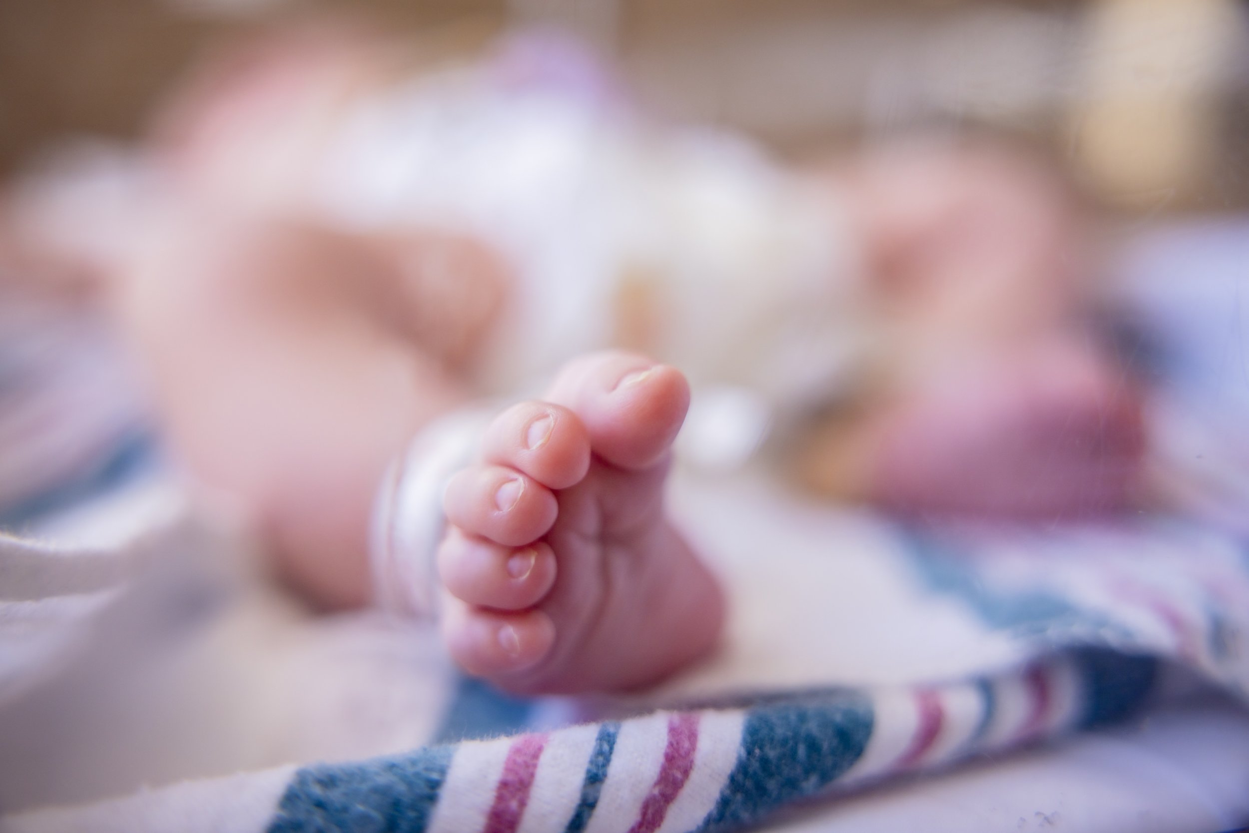 Newborn baby toes at a fresh 48 photography session at Doctor's Hospital of Augusta, GA.