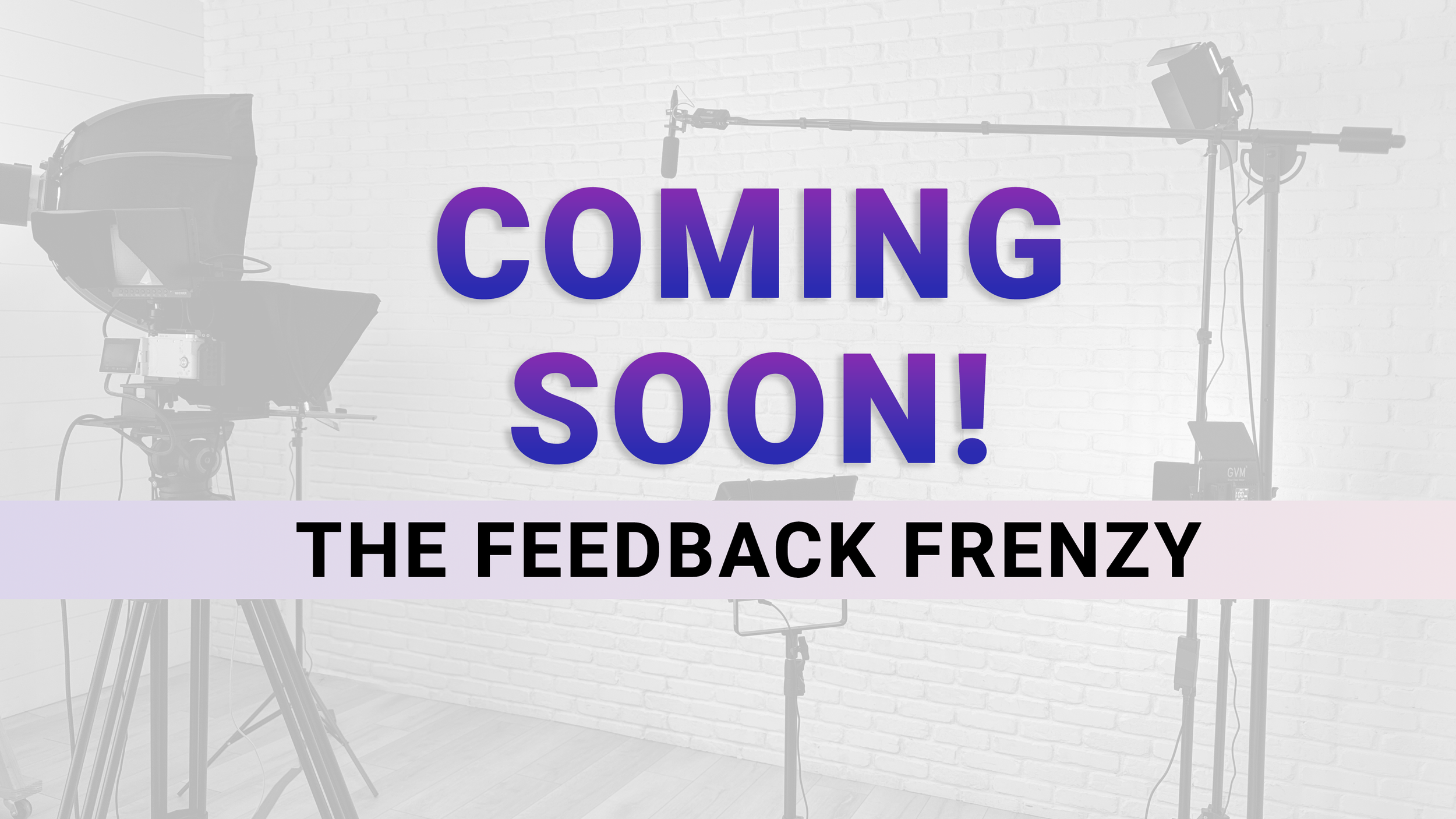 THE FEEDBACK FRENZY