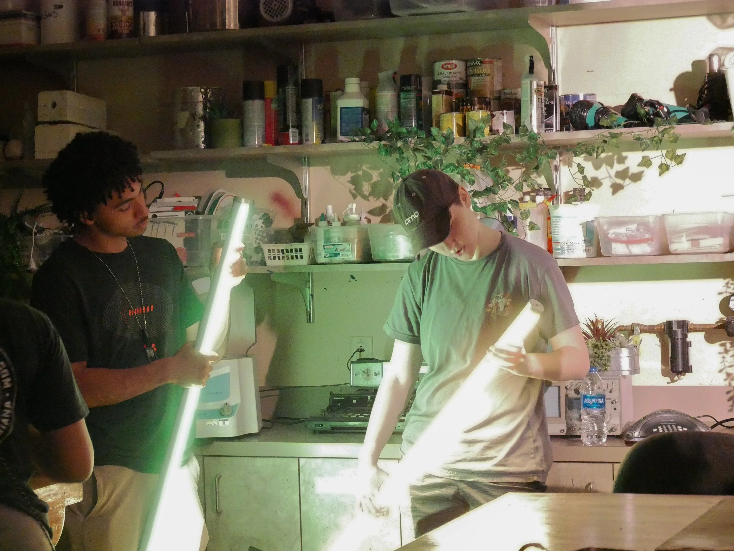 When a Doveweed Blooms (2025) - Lead Gaffer