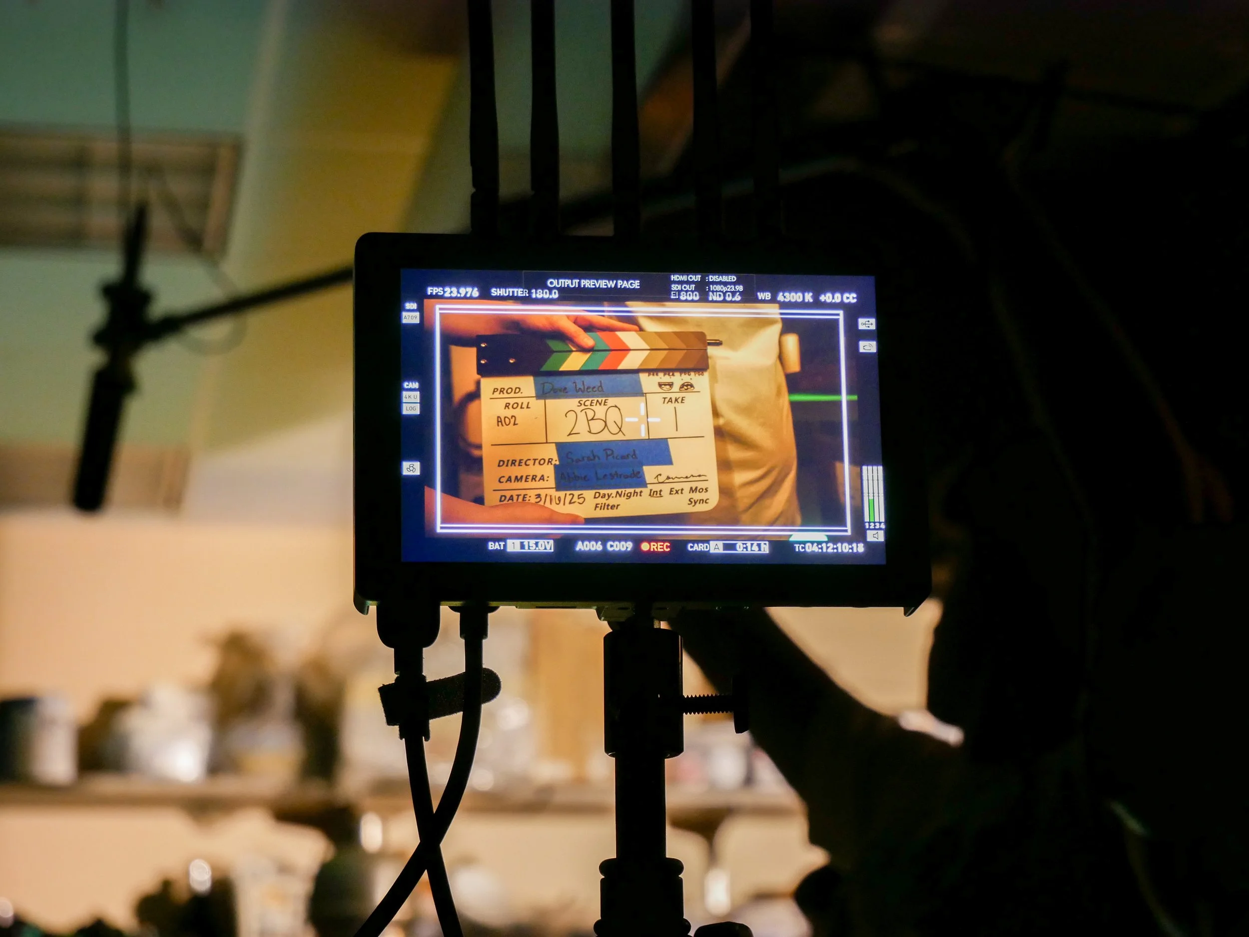 When a Doveweed Blooms (2025) - Lead Gaffer