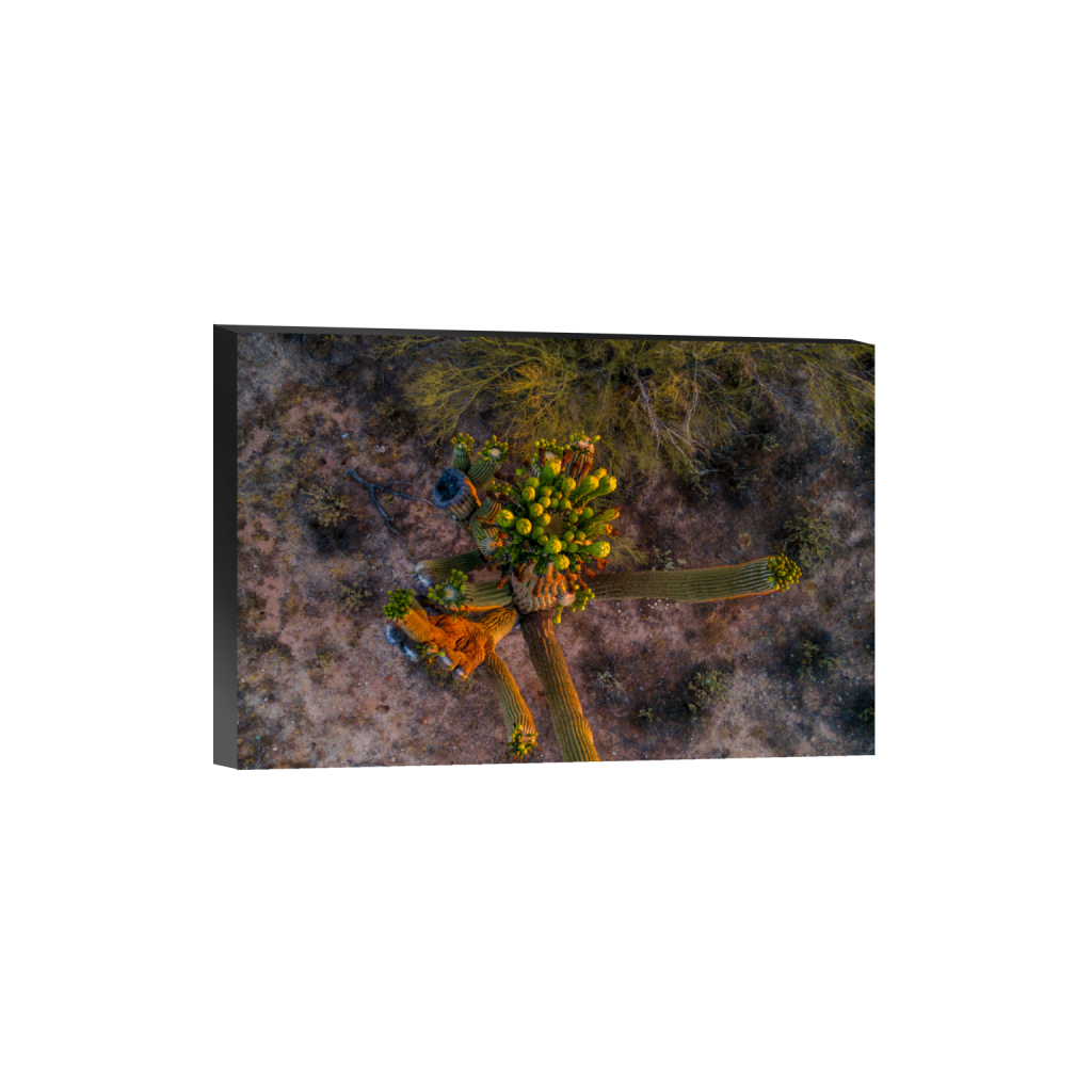 ptq_32_3_0_44_3243_2162_0_false_ffffff_0_0_.png