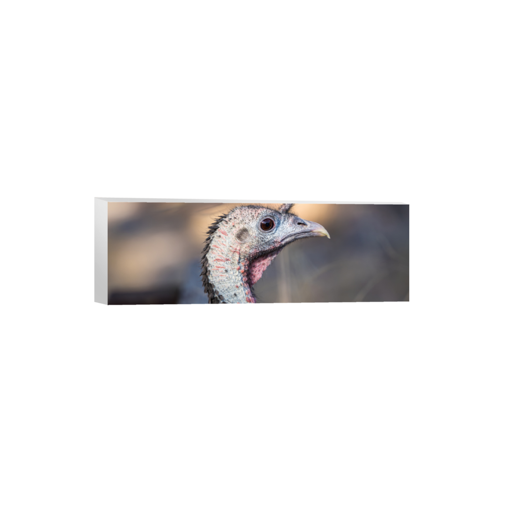 ptq_7_2_0_656_3936_1312_0_false_ffffff_0_0_.png