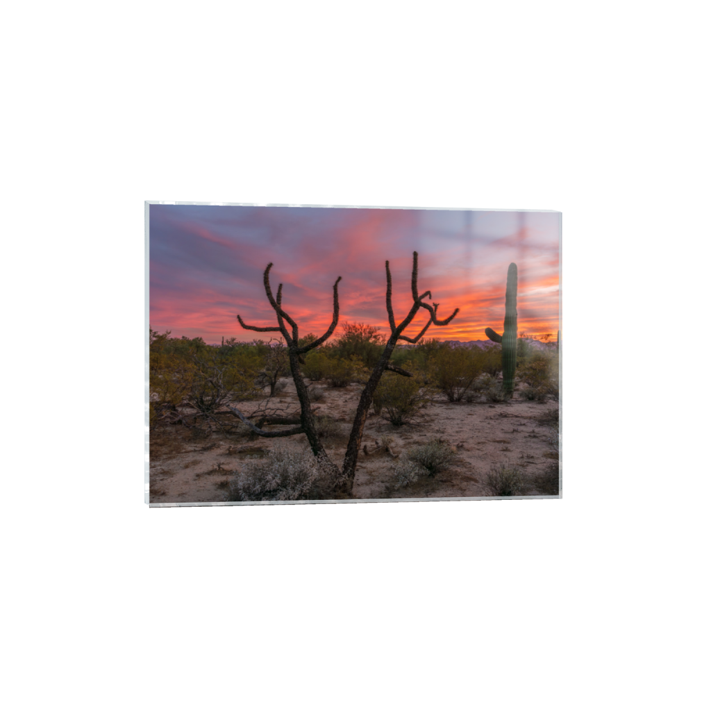 ptq_17_7_200_0_5600_4000_0_false_ffffff_0_0_.png