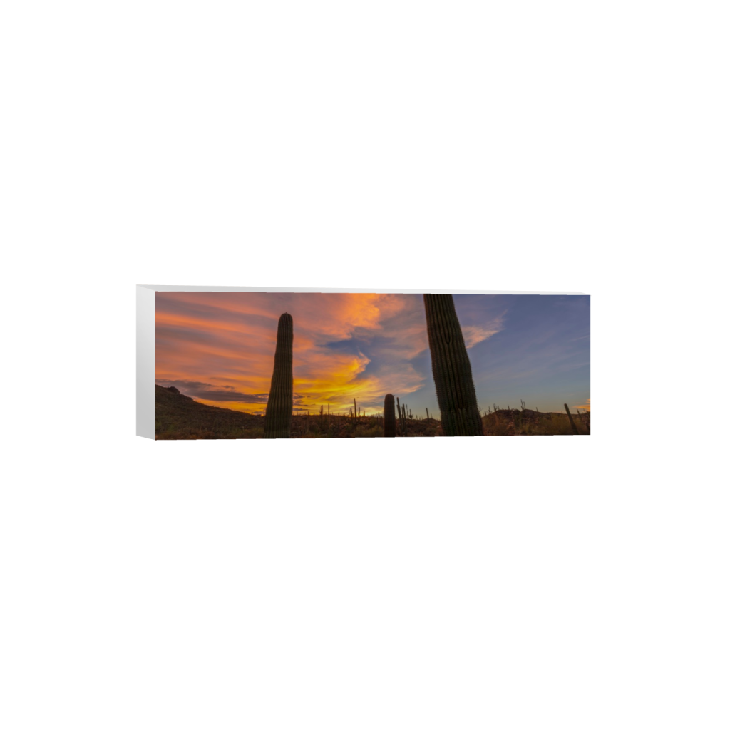 ptq_7_2_0_1000_6000_2000_0_false_ffffff_0_0_.png
