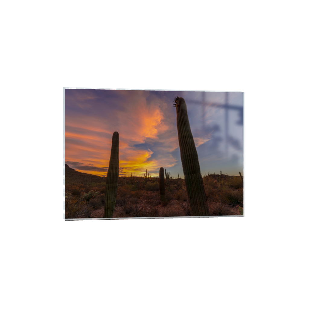ptq_17_7_200_0_5600_4000_0_false_ffffff_0_0_.png