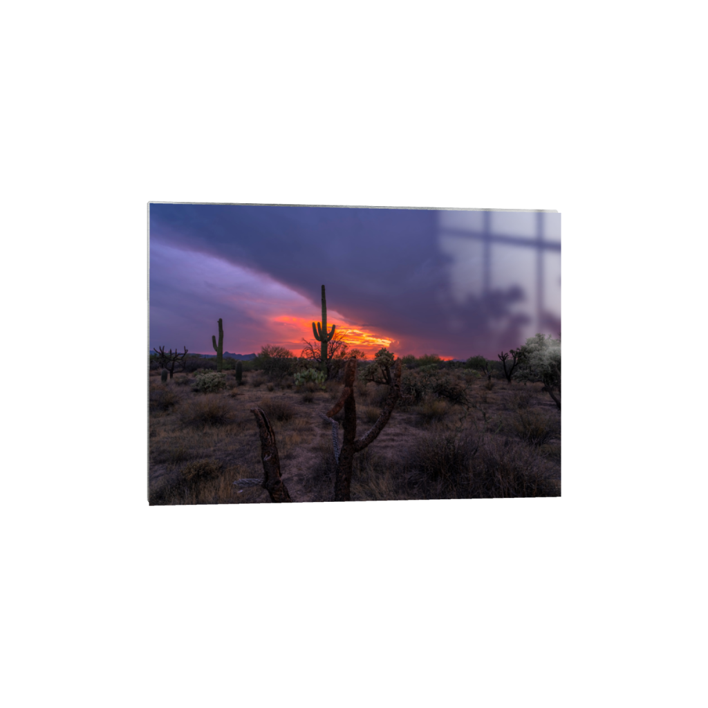 ptq_13_7_309_0_8660_6186_0_false_ffffff_0_0_.png