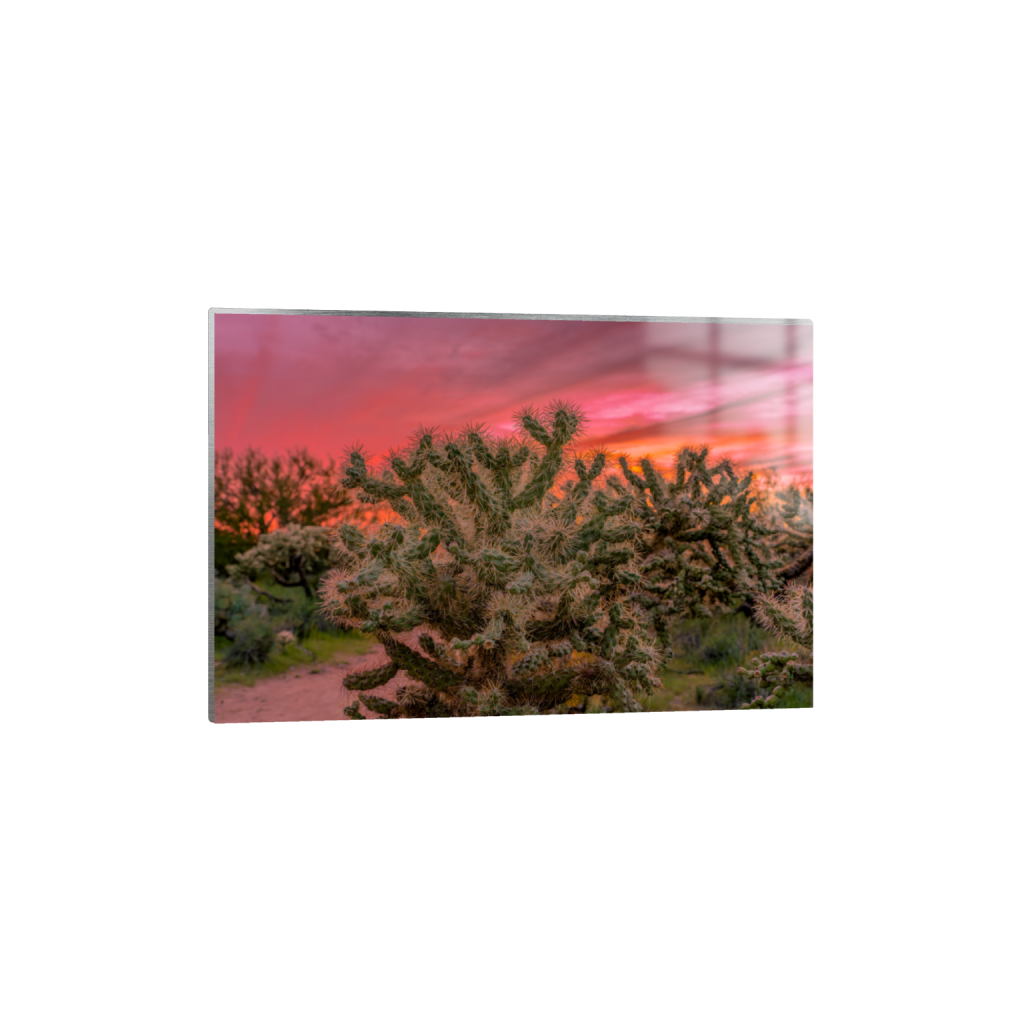 ptq_13_3_0_0_9433_6288_0_false_ffffff_0_0_.png
