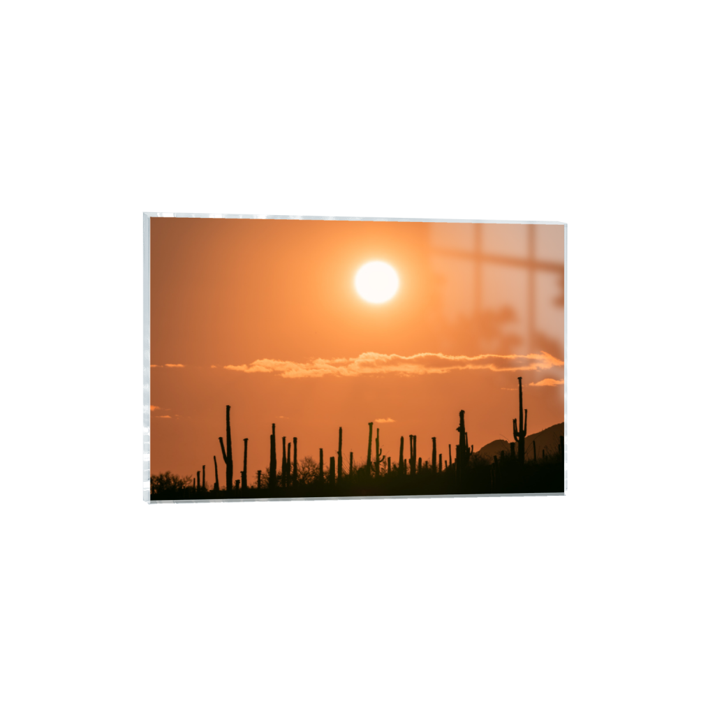 ptq_17_3_0_0_6000_4000_0_false_ffffff_0_0_.png