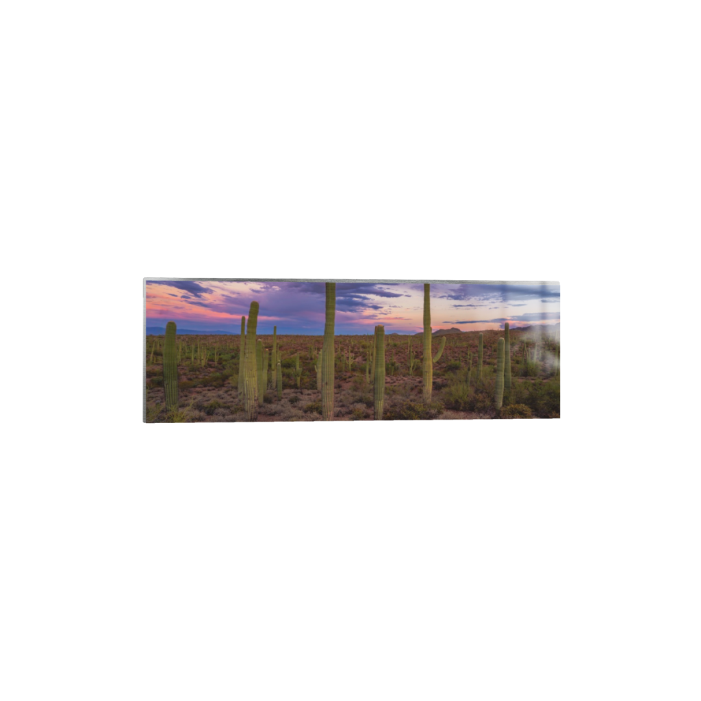 ptq_13_2_0_1000_6000_2000_0_false_ffffff_0_0_.png