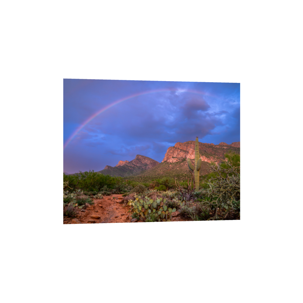 ptq_1_6_390_0_5000_4000_0_false_ffffff_0_0_.png