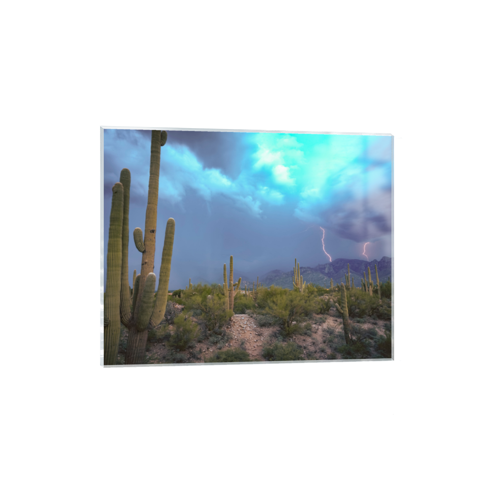 ptq_17_6_499_0_4997_3998_0_false_ffffff_0_0_.png