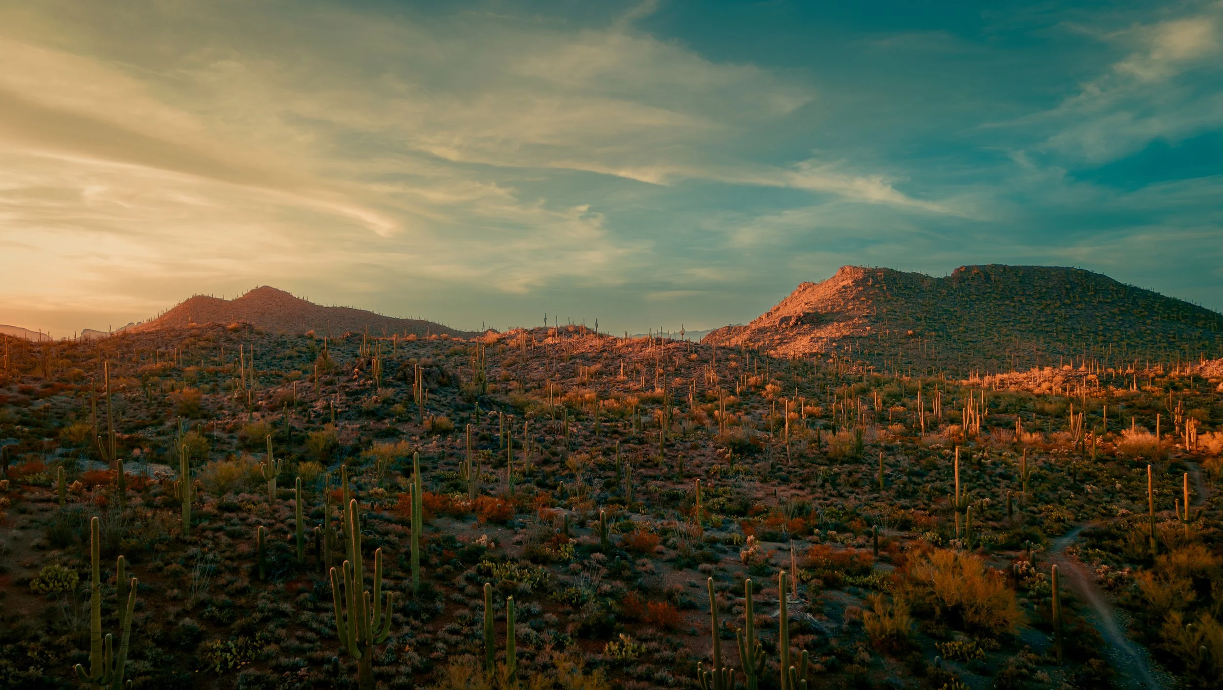 The Sun Beating down.jpg