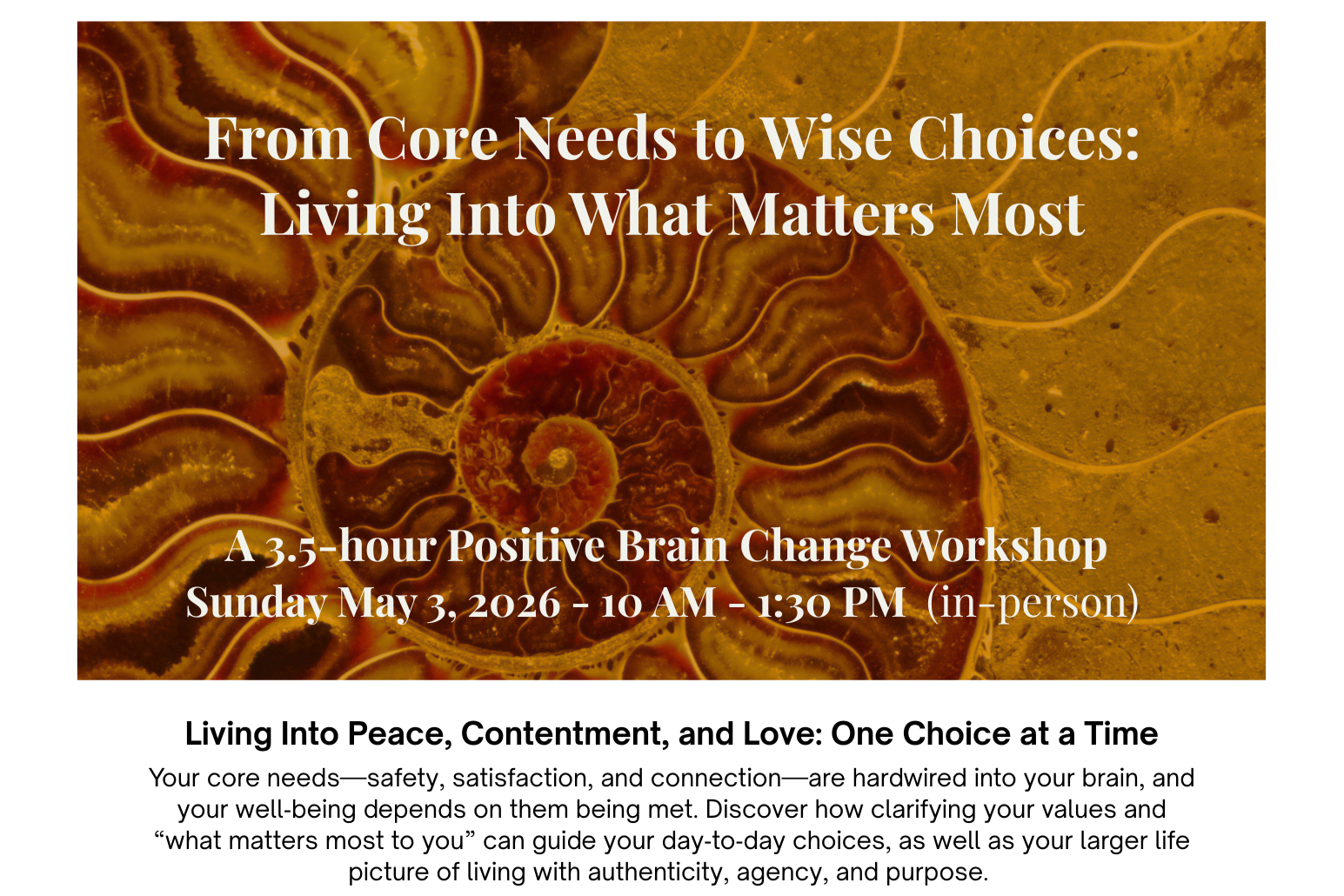 From Core Needs to Wise Choices - 3.5 -hour In-Person Workshop