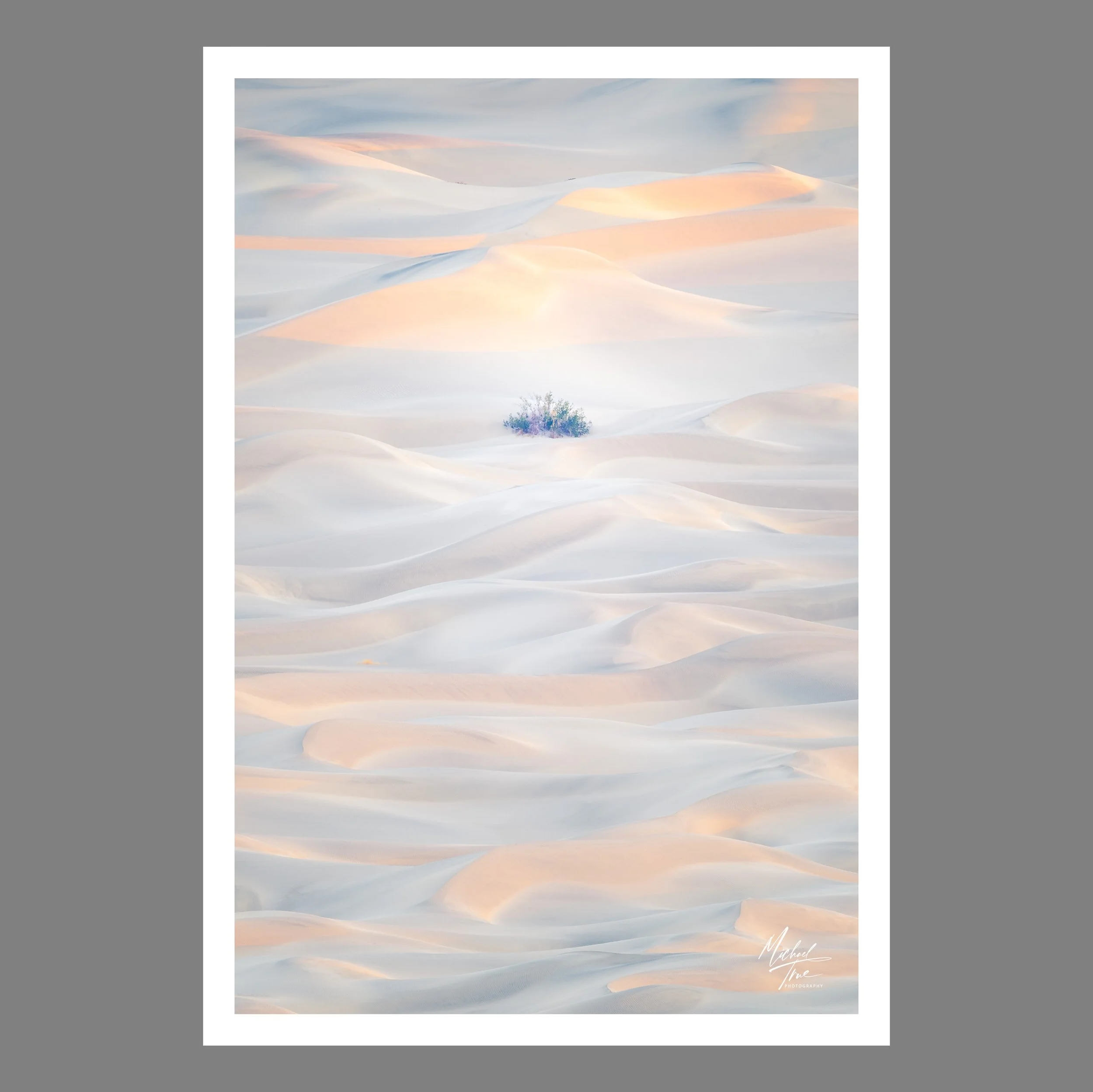 Little Sand Flower (2025)