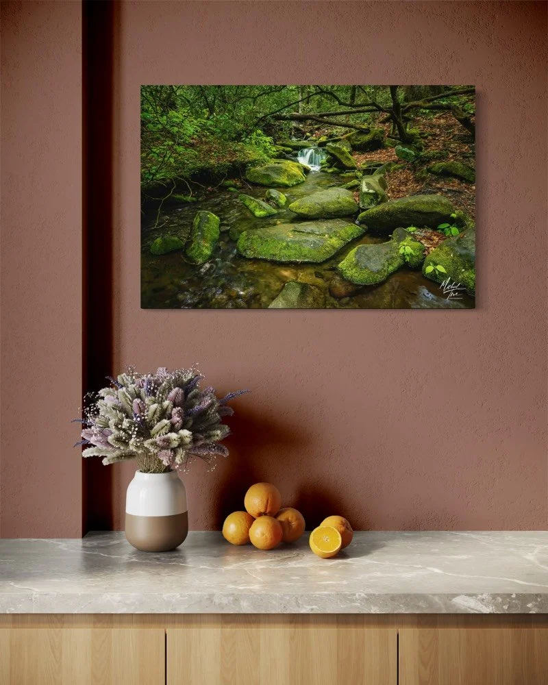 Mossy_Cove_mockup2.jpg