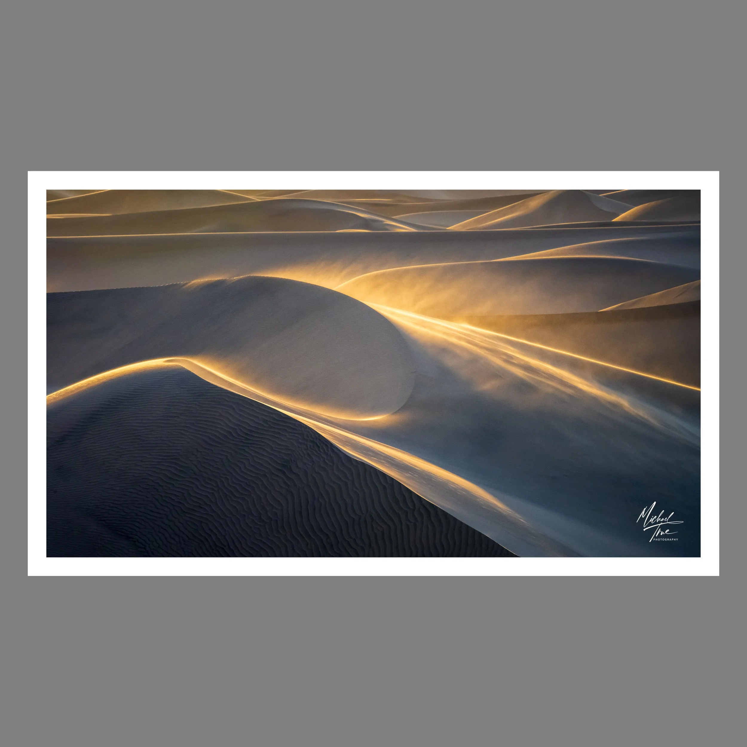 Windy Dunes (2025)