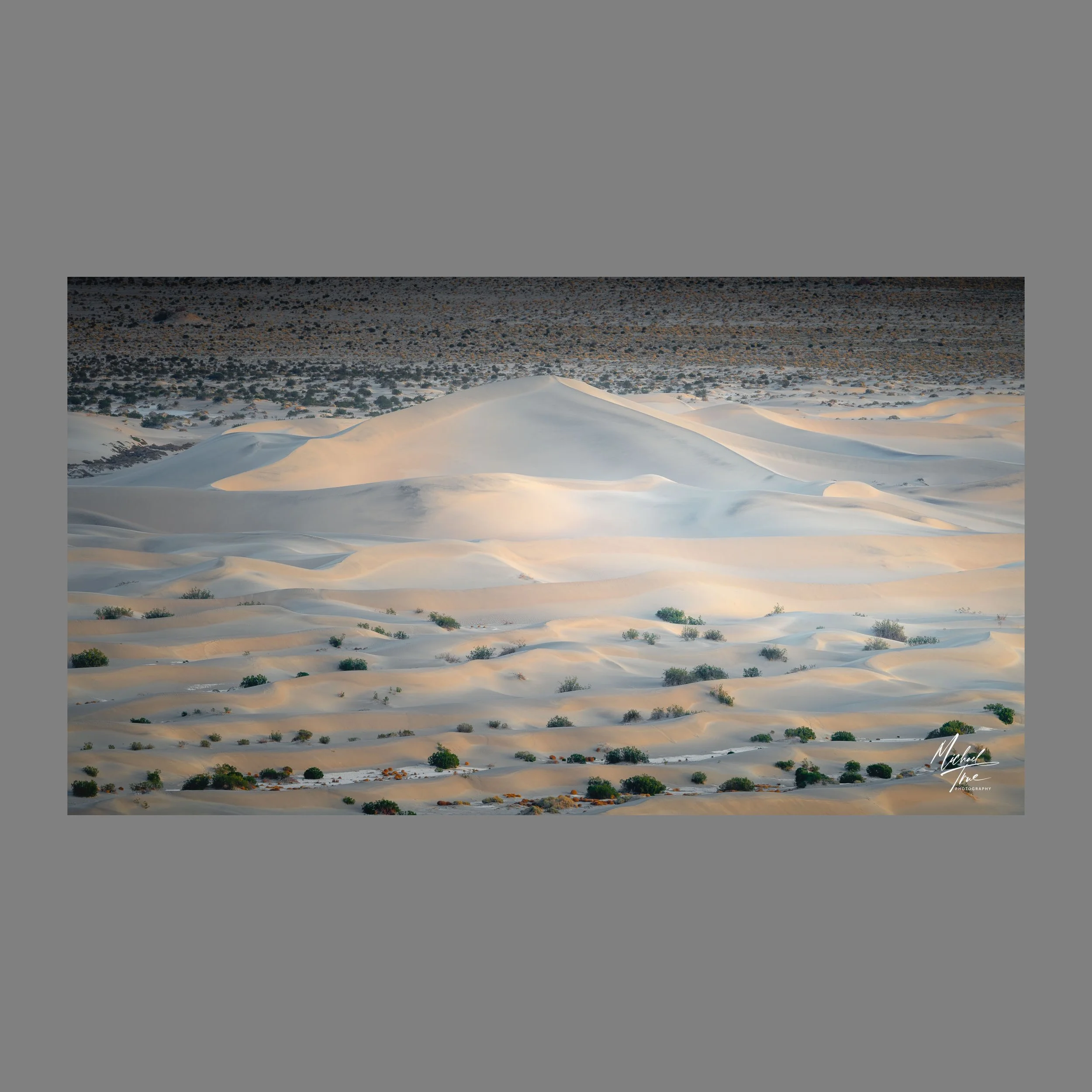 Web-MJT_4246_no_border.jpg