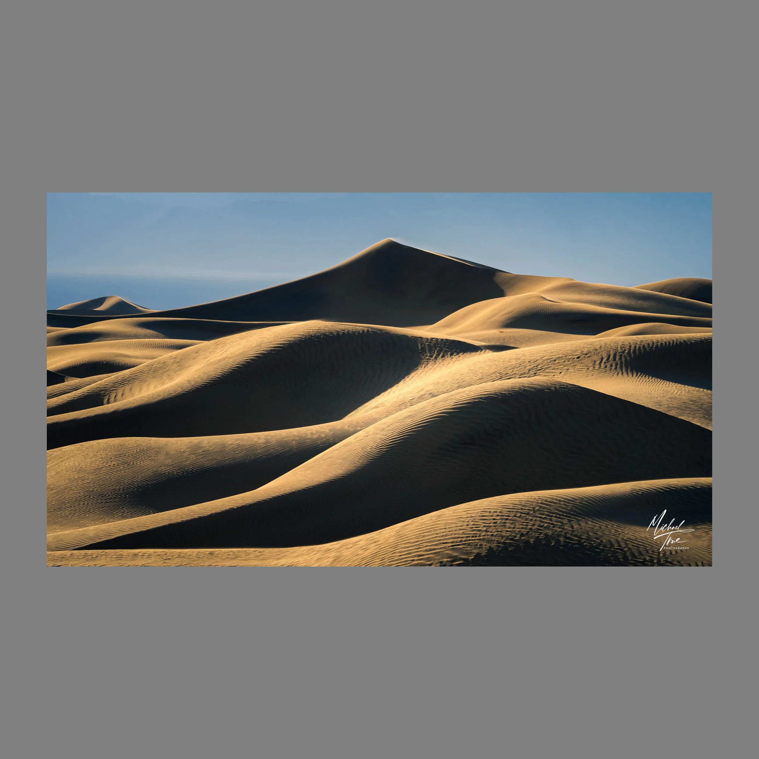 Web-MJT_4189_no_border.jpg