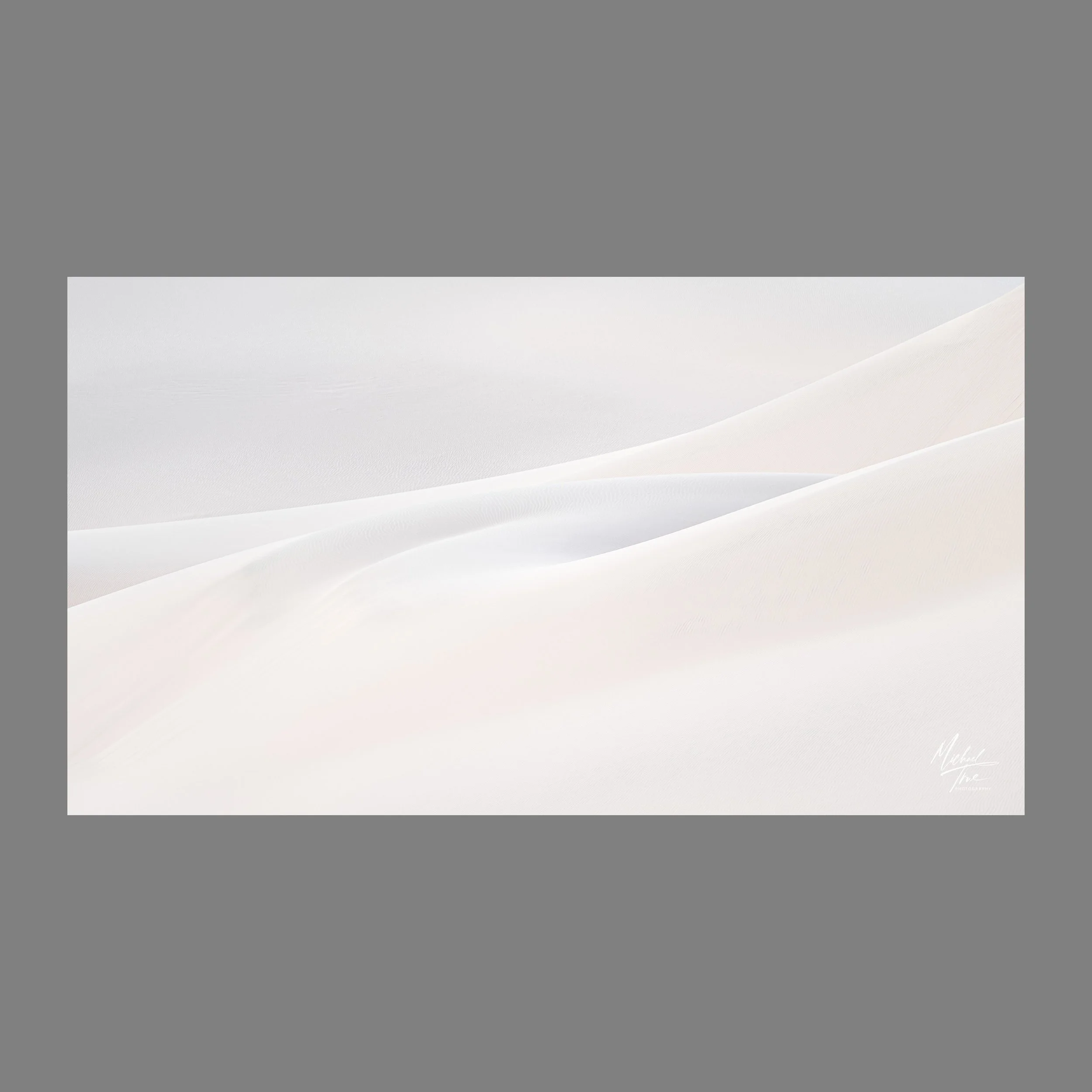 Web-MJT_4363_no_border.jpg