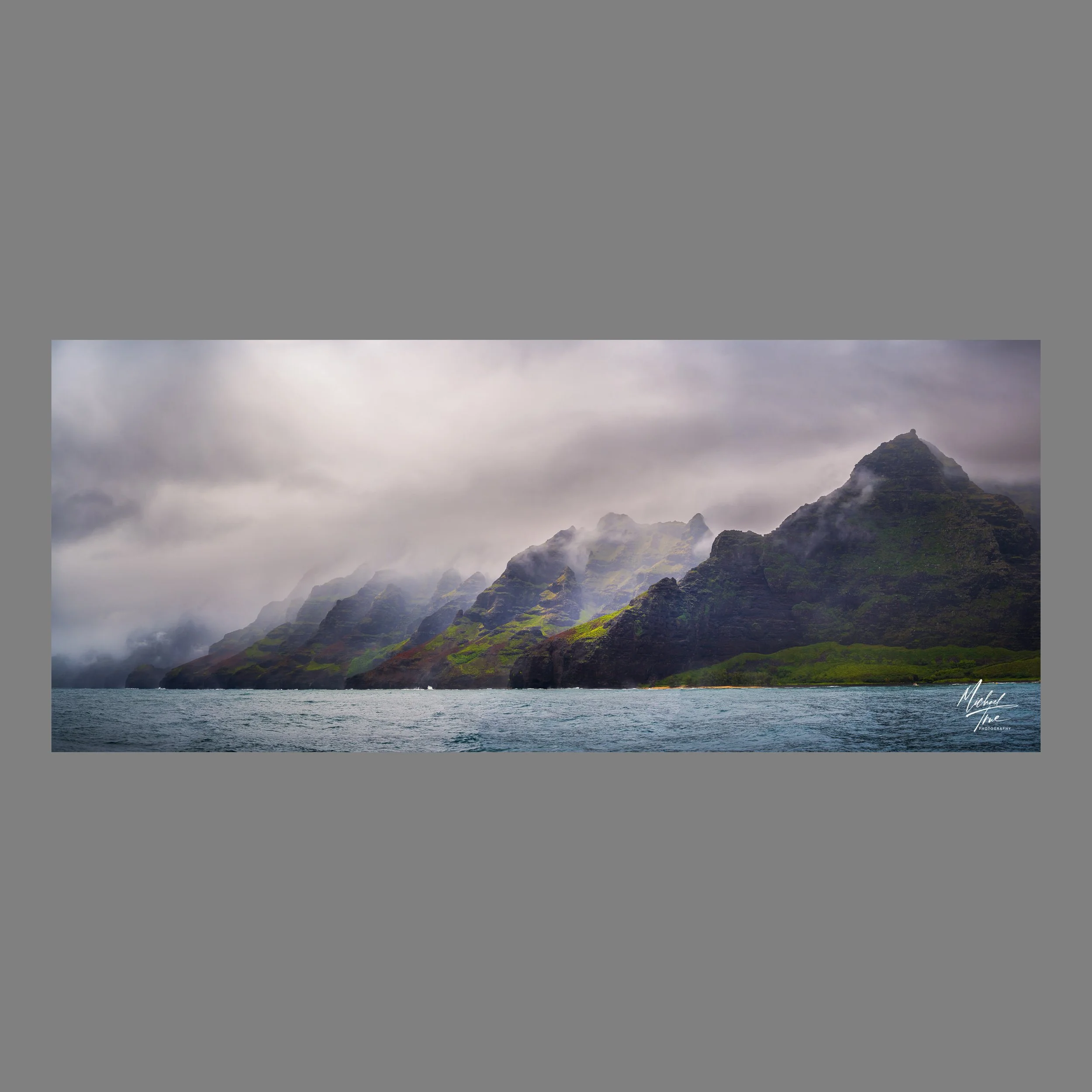 Web-MJT_2924-Pano_no_border.jpg
