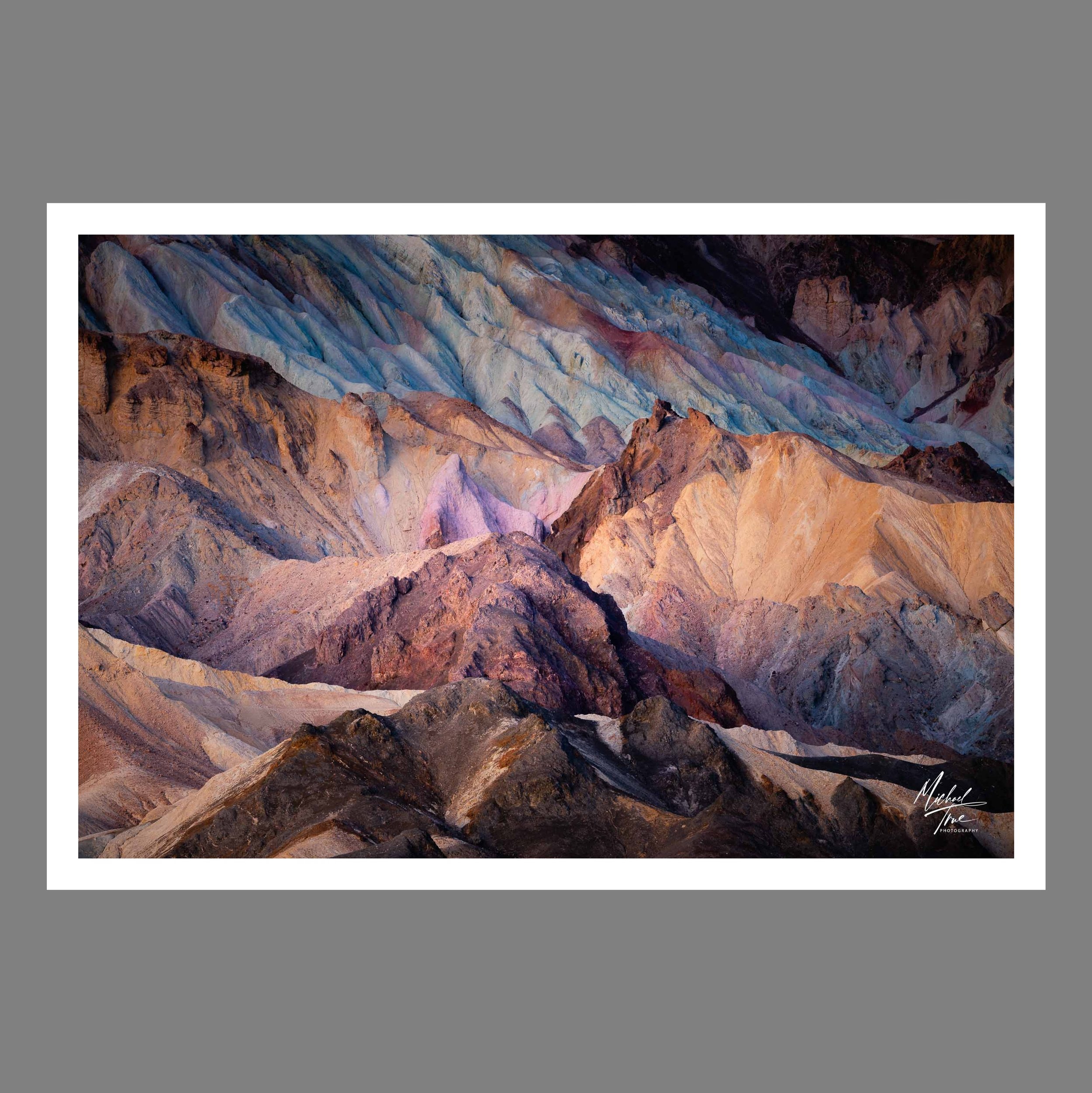 20 Mule Colors (2025)