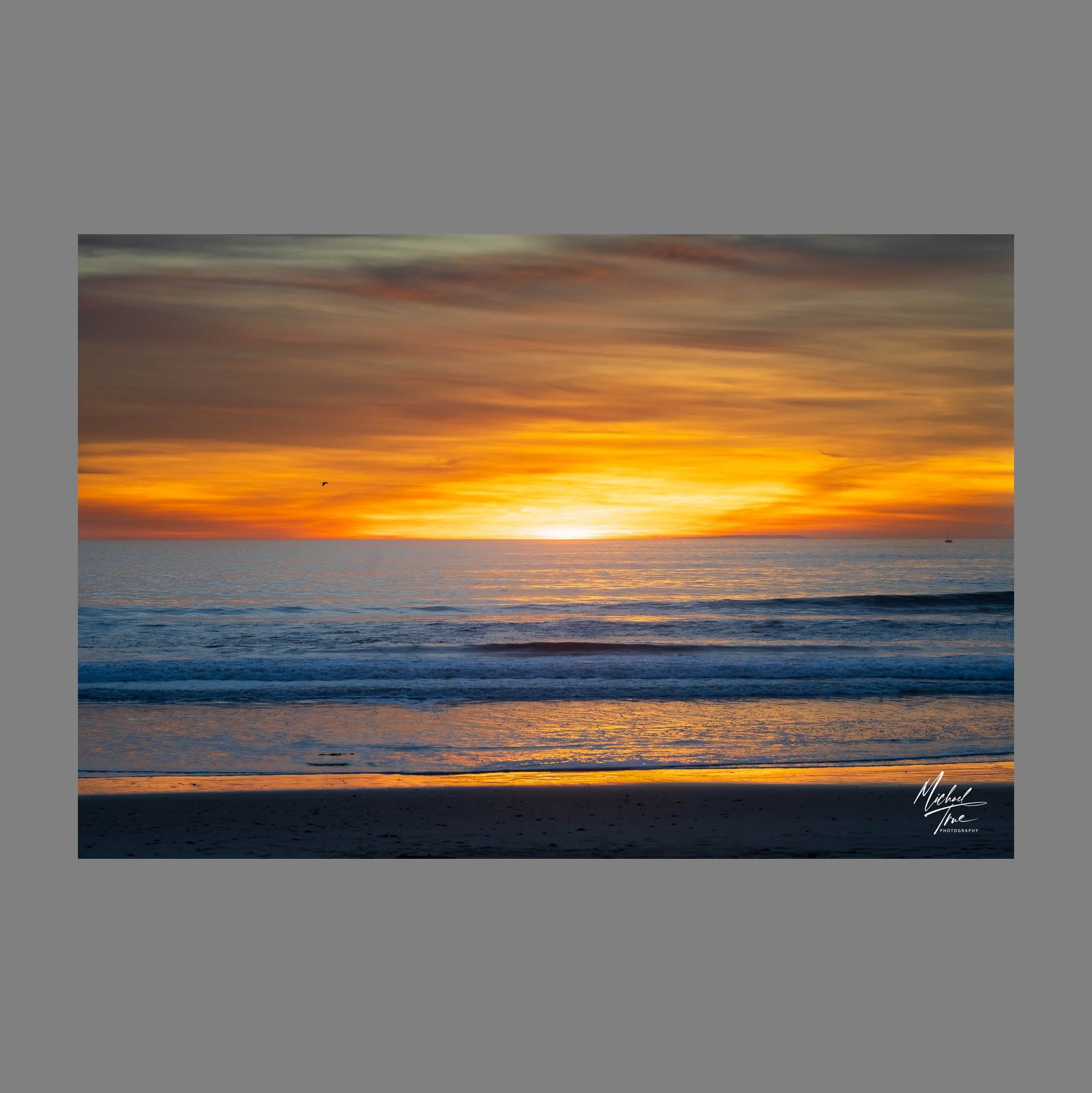 Web-MJT_1718-HDR_no_border.jpg