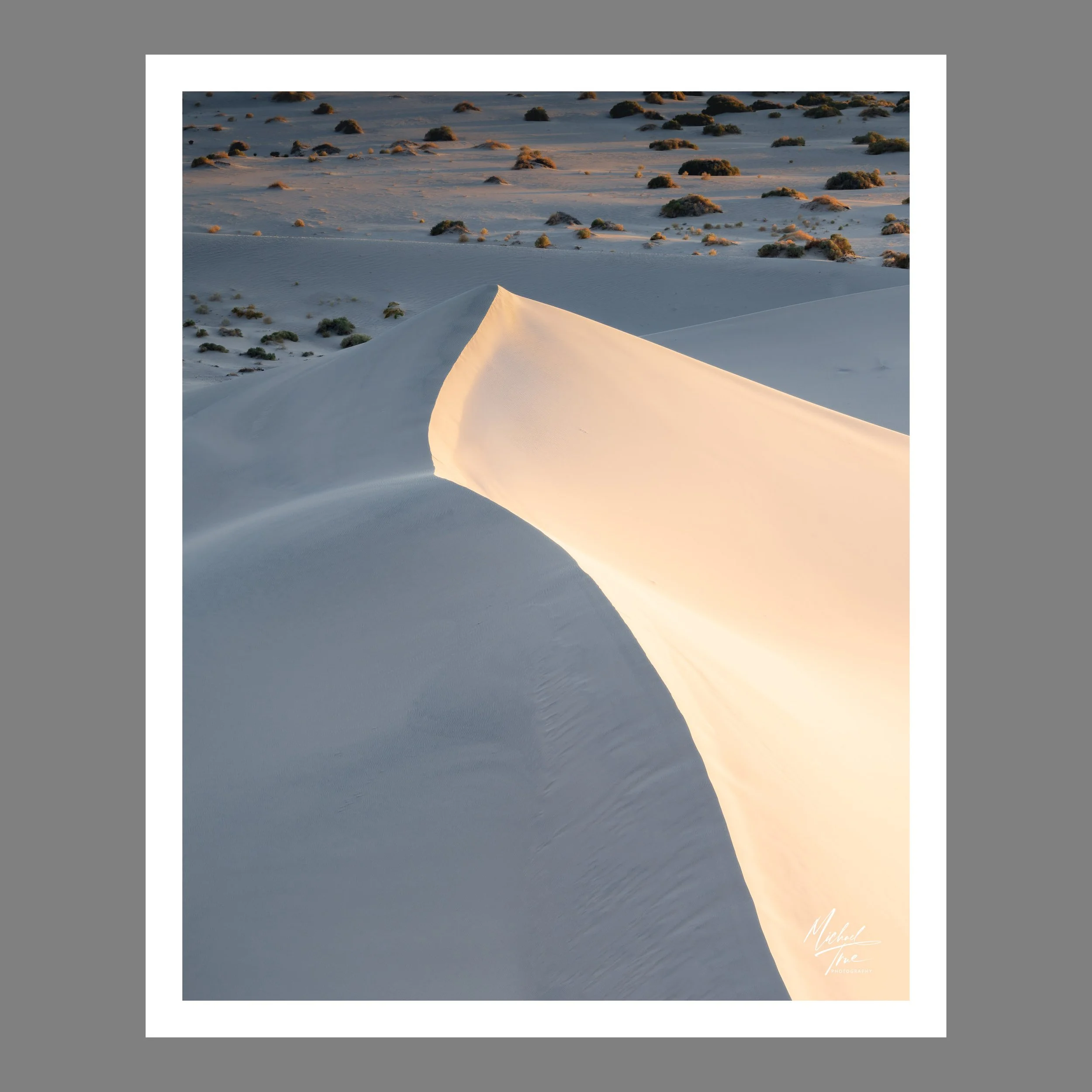 Sand Arrow (2025)