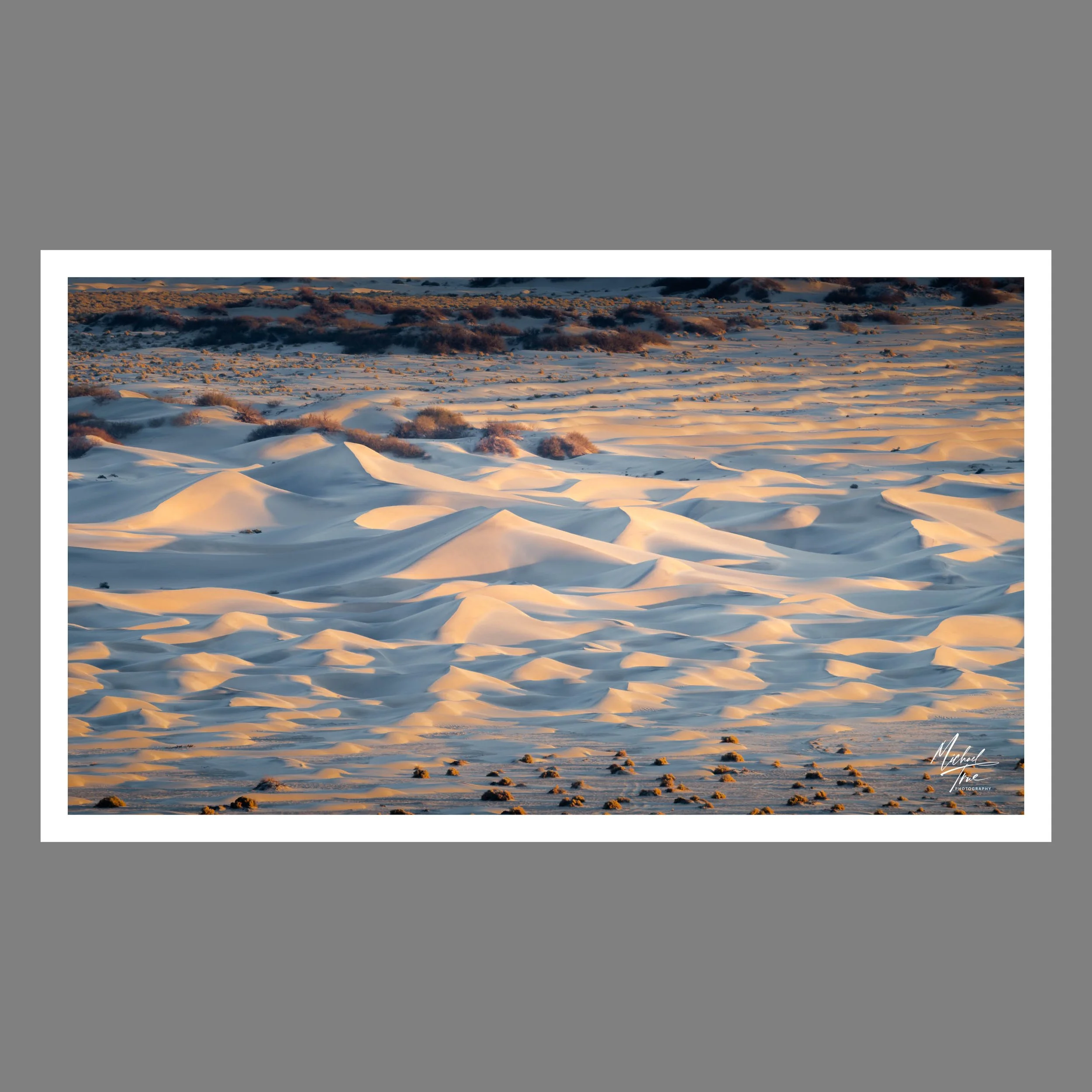 Sand Dune Morning (2025)
