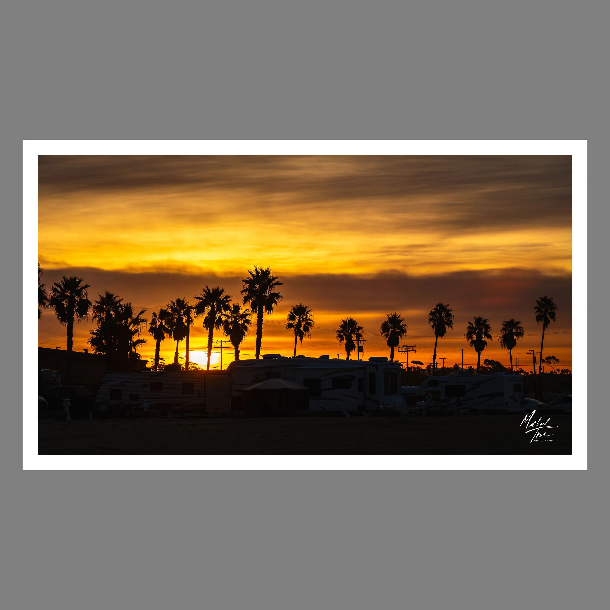 Cali Palms (2023)