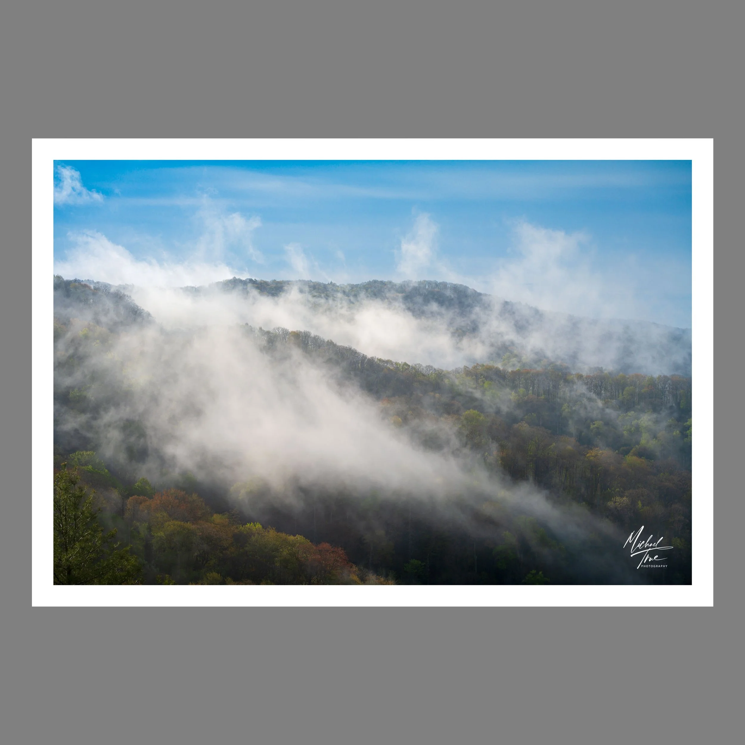 Good Morning Smoky (2026)