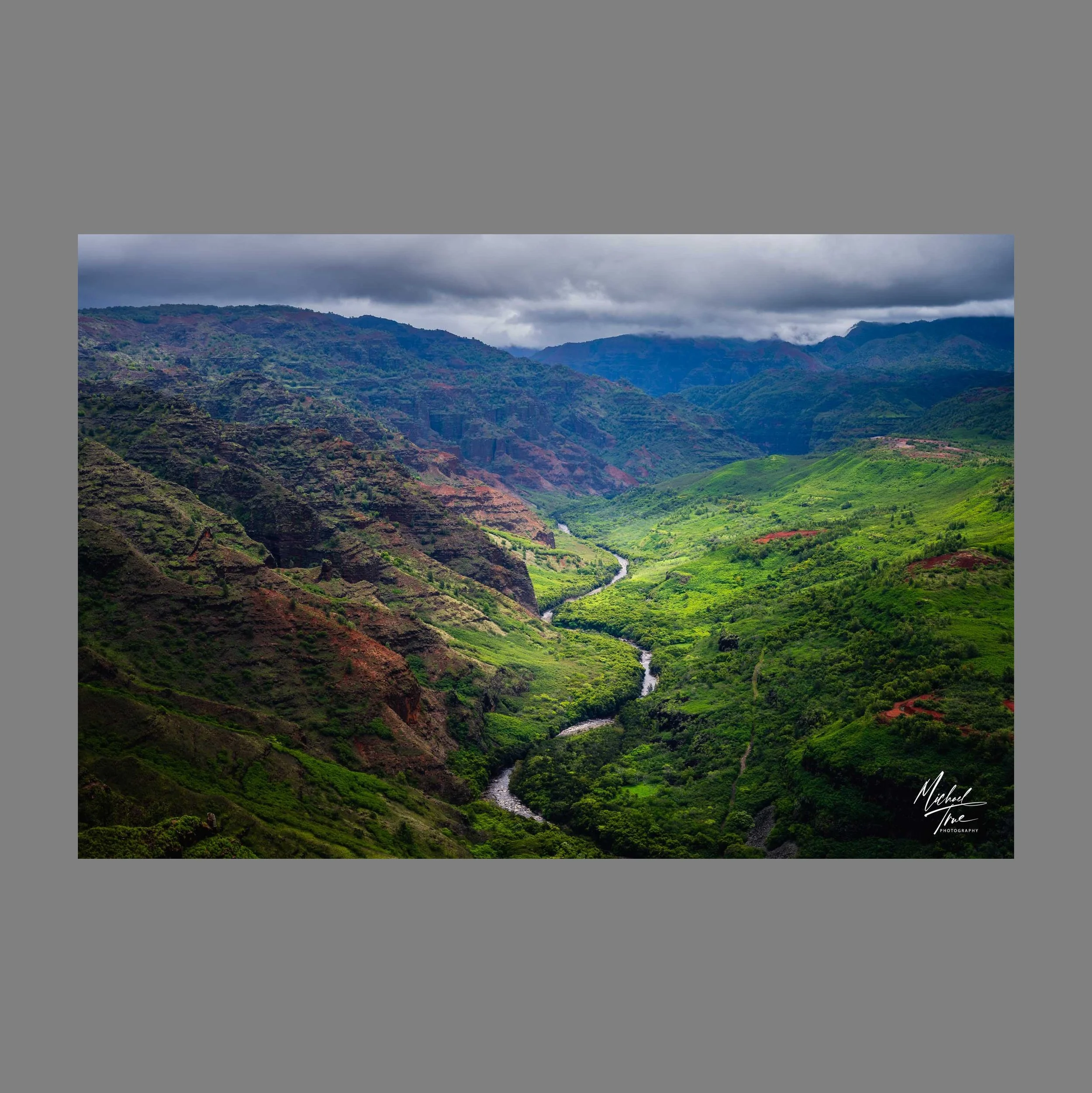 Web-MJT_3443_no_border.jpg