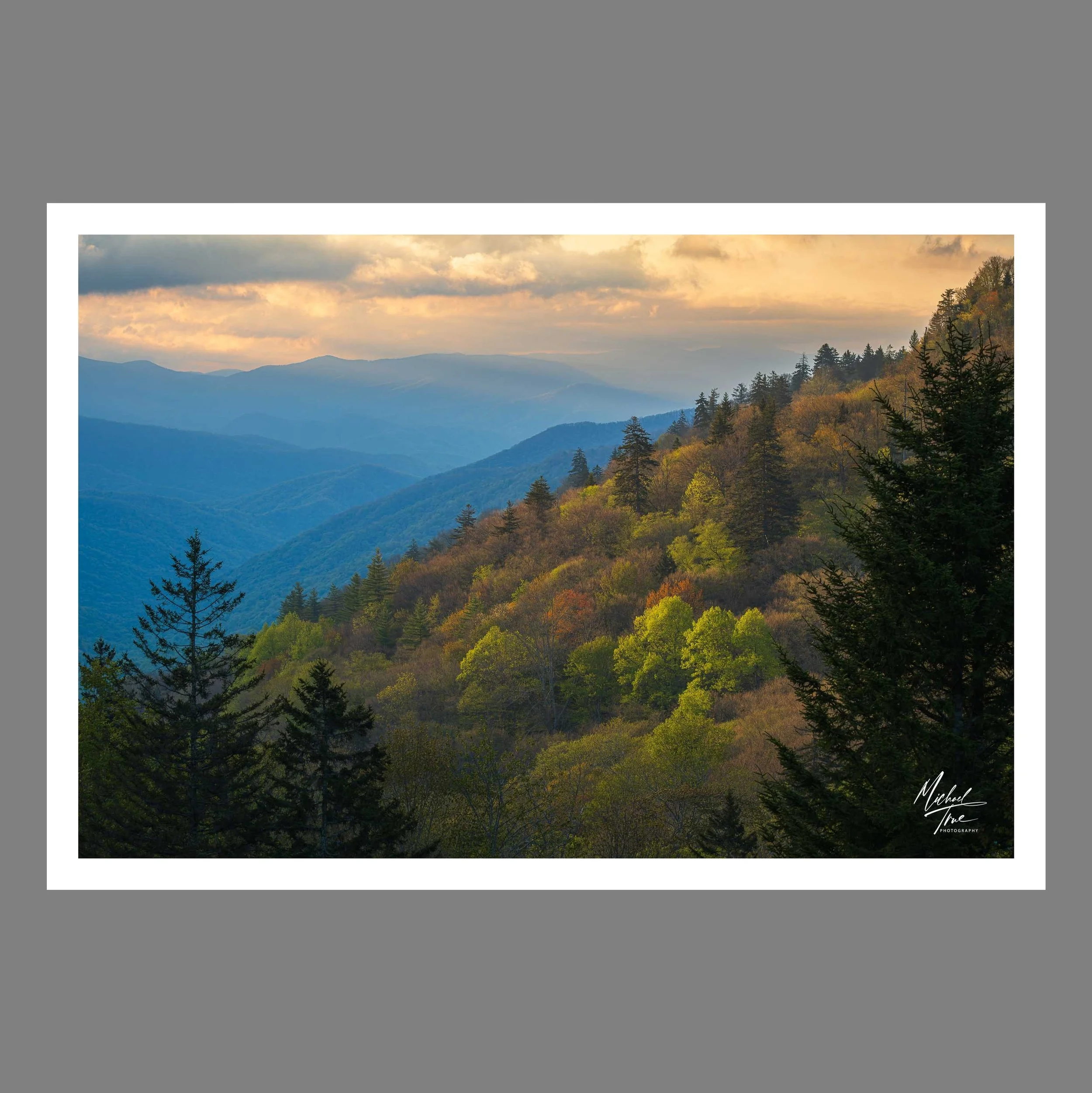 Smoky Mountain Dawn (2026)