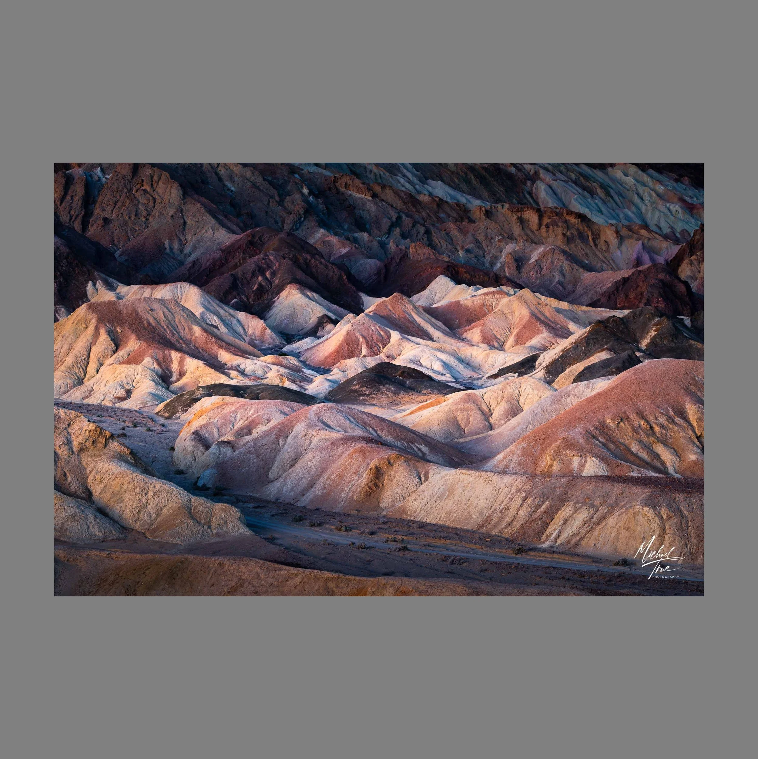 Web-MJT_4367_no_border.jpg