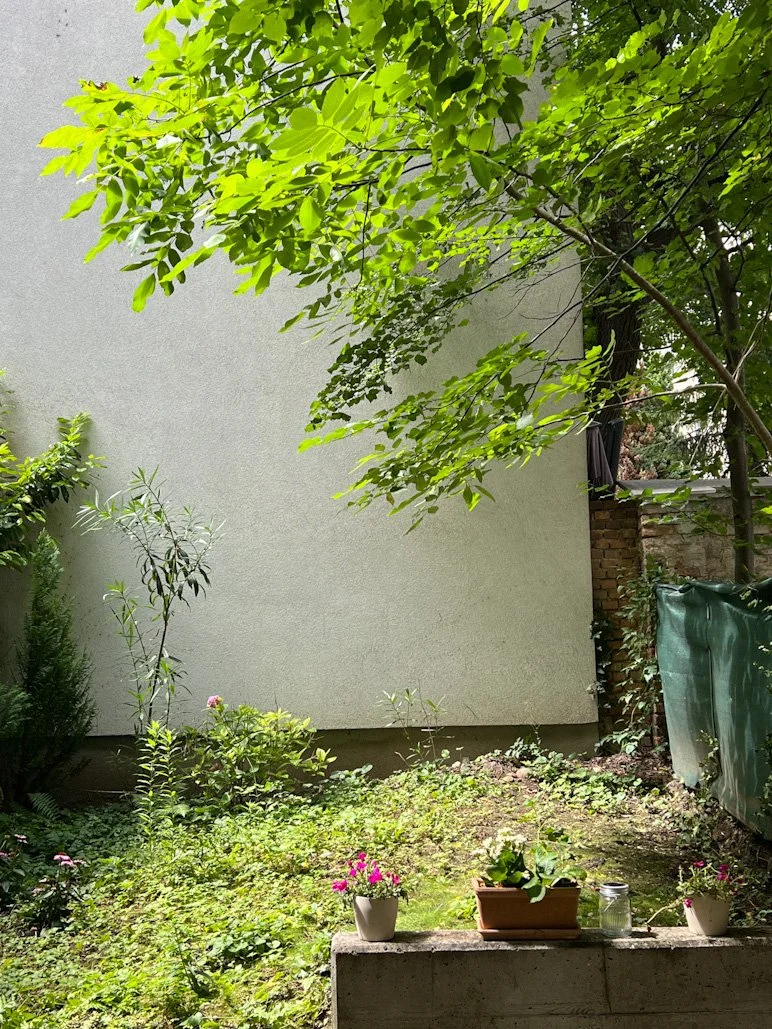 Ein Garten mit Bäumen, Sträuchern und blühenden Pflanzen, einschließlich Topfpflanzen auf einer Mauer, neben einer weißen Hauswand.