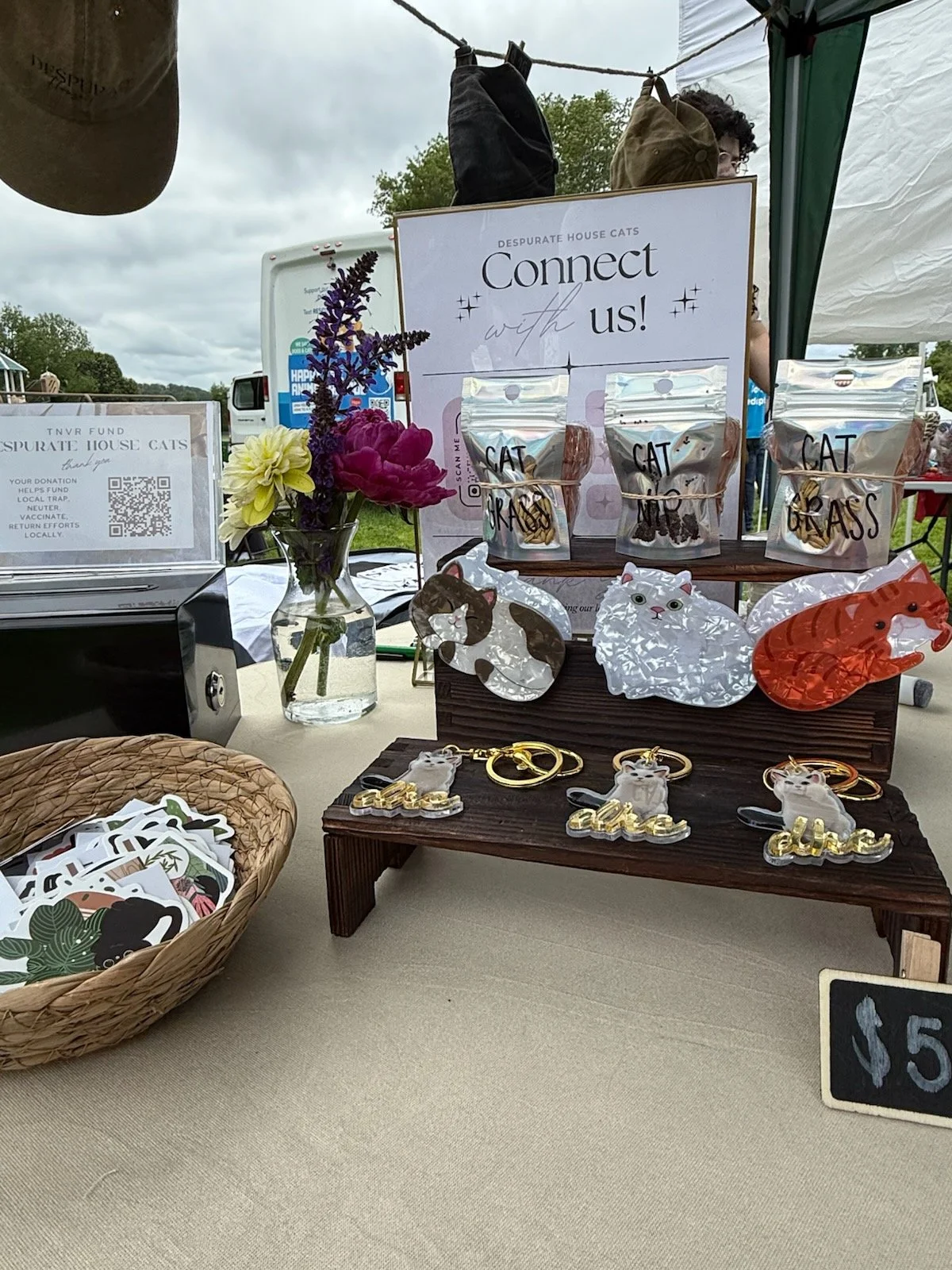 Despurate House Cats at Pets in the Park – Danbury
