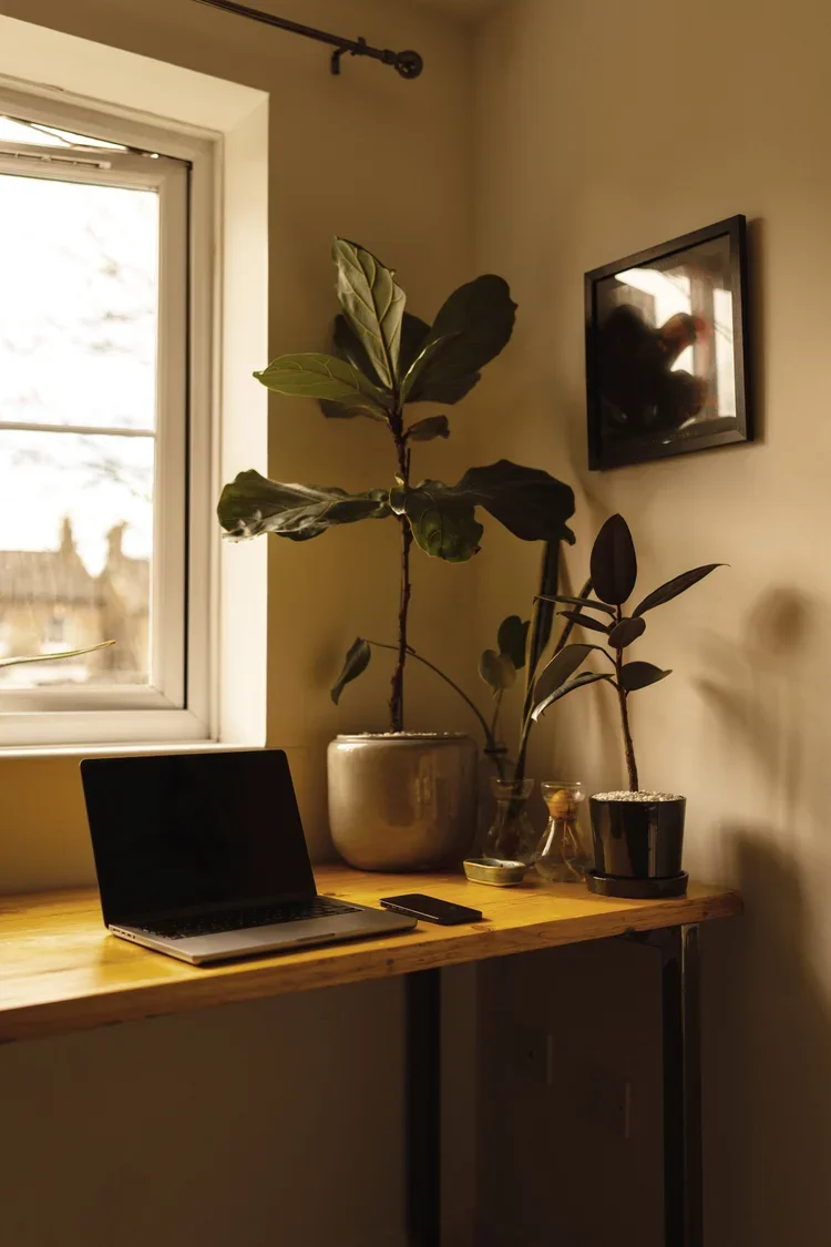 Images+for+joe-7401584.webp