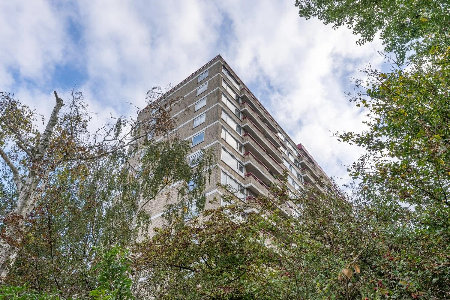 01-Wimbledonpark 101 Amstelveen.jpg