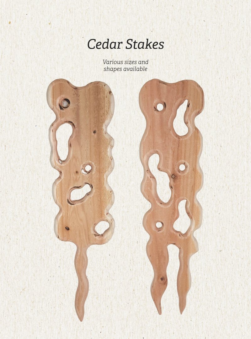 Cedar Plant Stake
