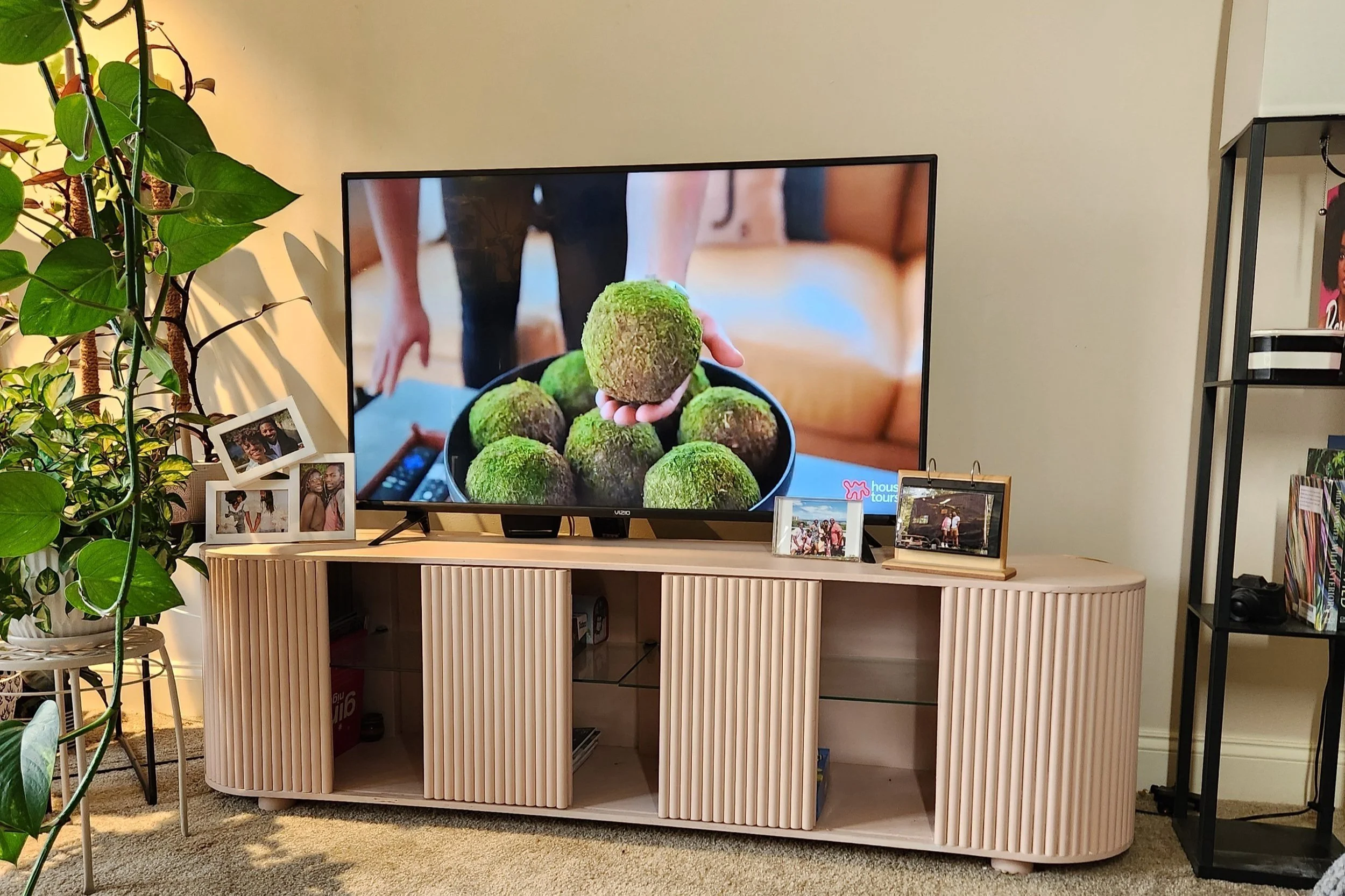 Living room with a TV displaying a person holding a bowl of green moss-covered objects, a wooden cabinet beneath the TV, framed family photos on the cabinet, and a tall plant on the left side of the image.