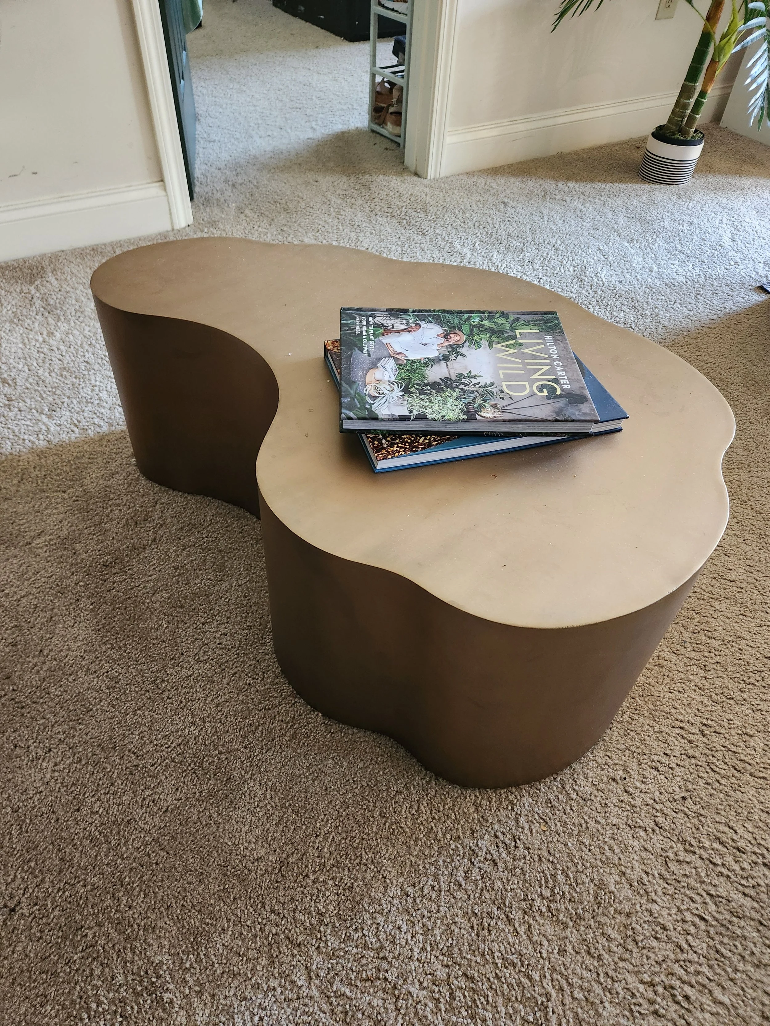 A brass, Arteriors Meadow coffee table with a smooth surface, placed on a tan carpet. There are two books stacked on the table, with the top book titled 'Living Wild' by Hilton Carter. In the background, a potted plant with long, branched stems is lo