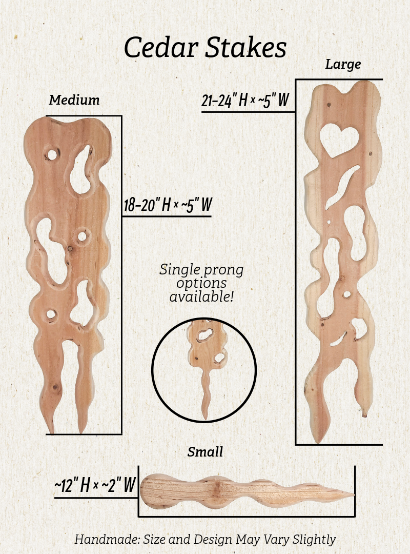 Stake Graphic-2 (1).png