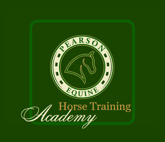 Horse training academy 4.png