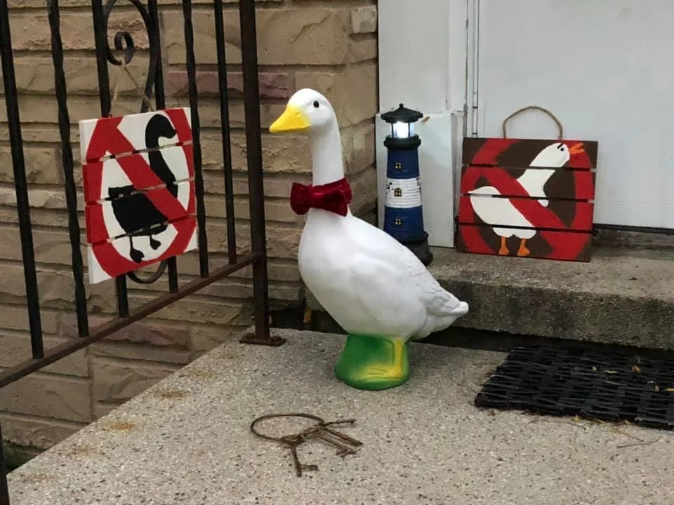 Untitled Goose Game themed porch