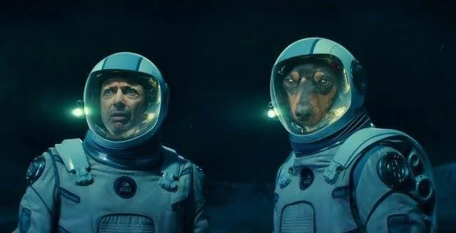 Putting my dog in space