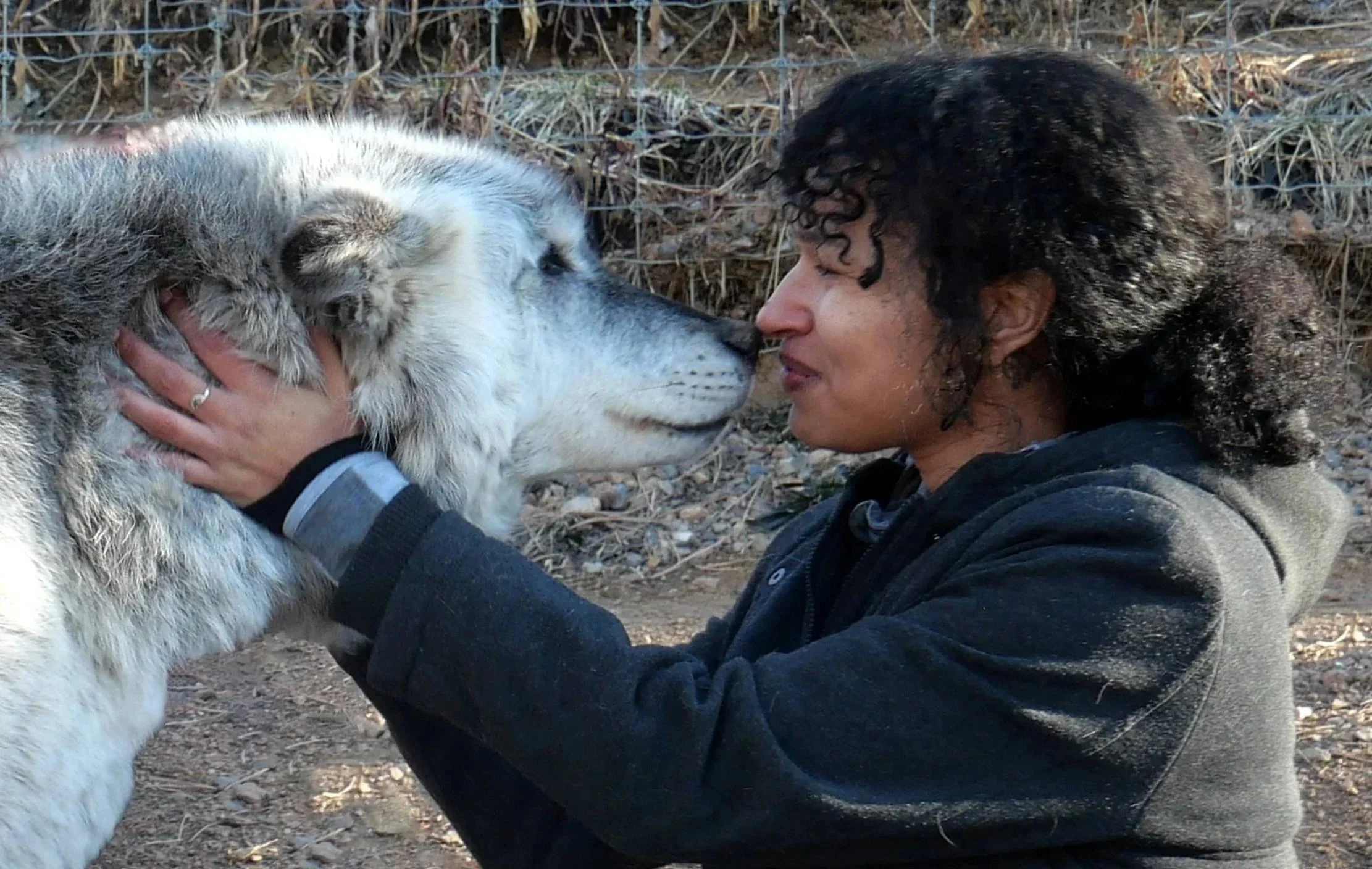 A woman with curly dark hair wearing a black jacket is holding a wolf close, nose to nose, in an outdoor setting with dirt and dry grass.