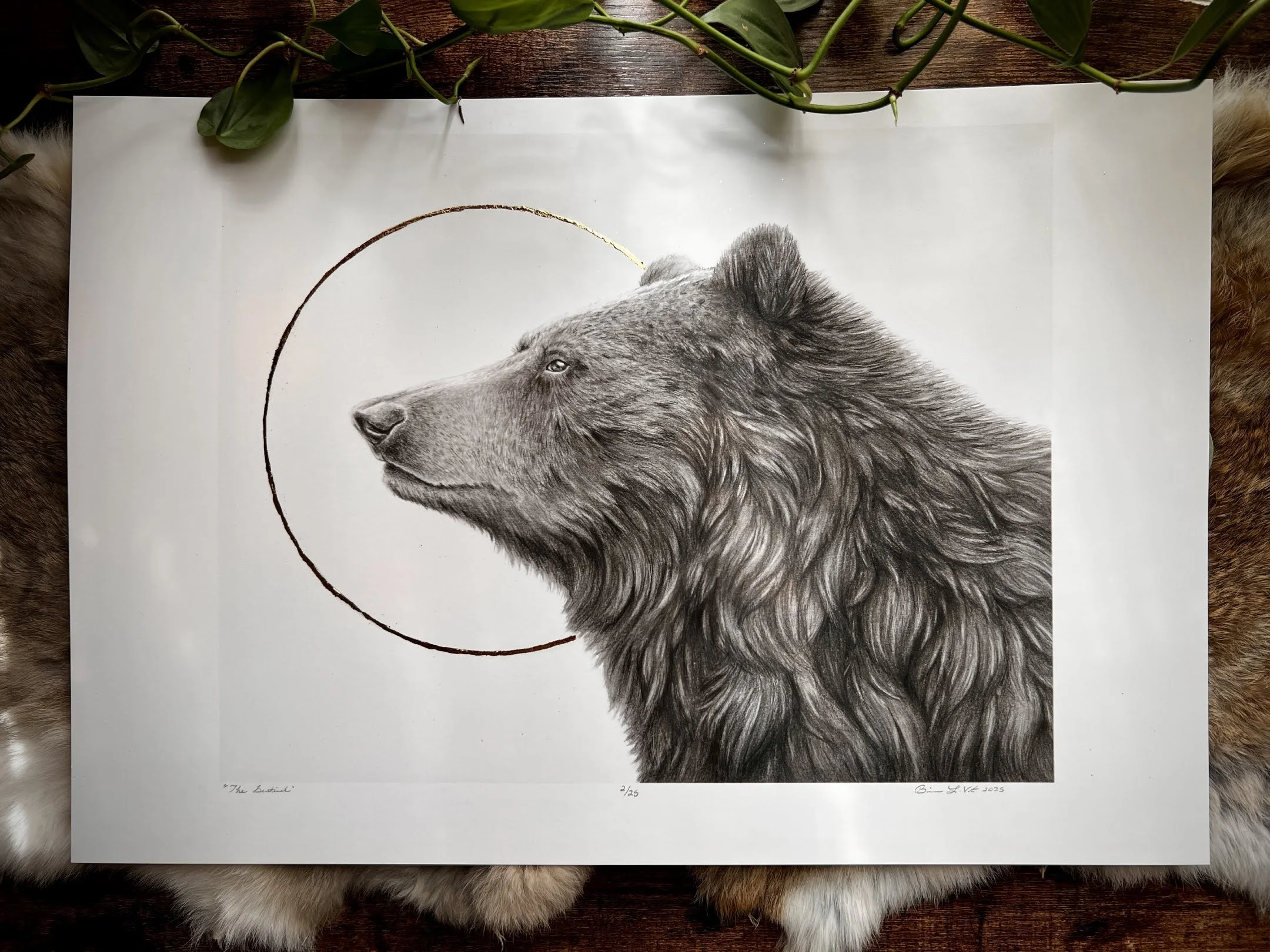 An archival print of a bear drawn in graphite, embellished with a 24k gold leaf halo. Illustrated by Brianna LaVarta | Native Fauna art