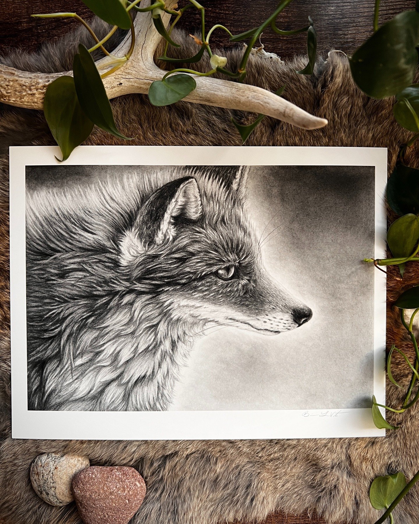 I&rsquo;ve always felt like foxes carry a kind of quiet awareness, as if they&rsquo;re tuned into something just beyond us.

#graphite #wildlifeart #darkacademia #foxartwork